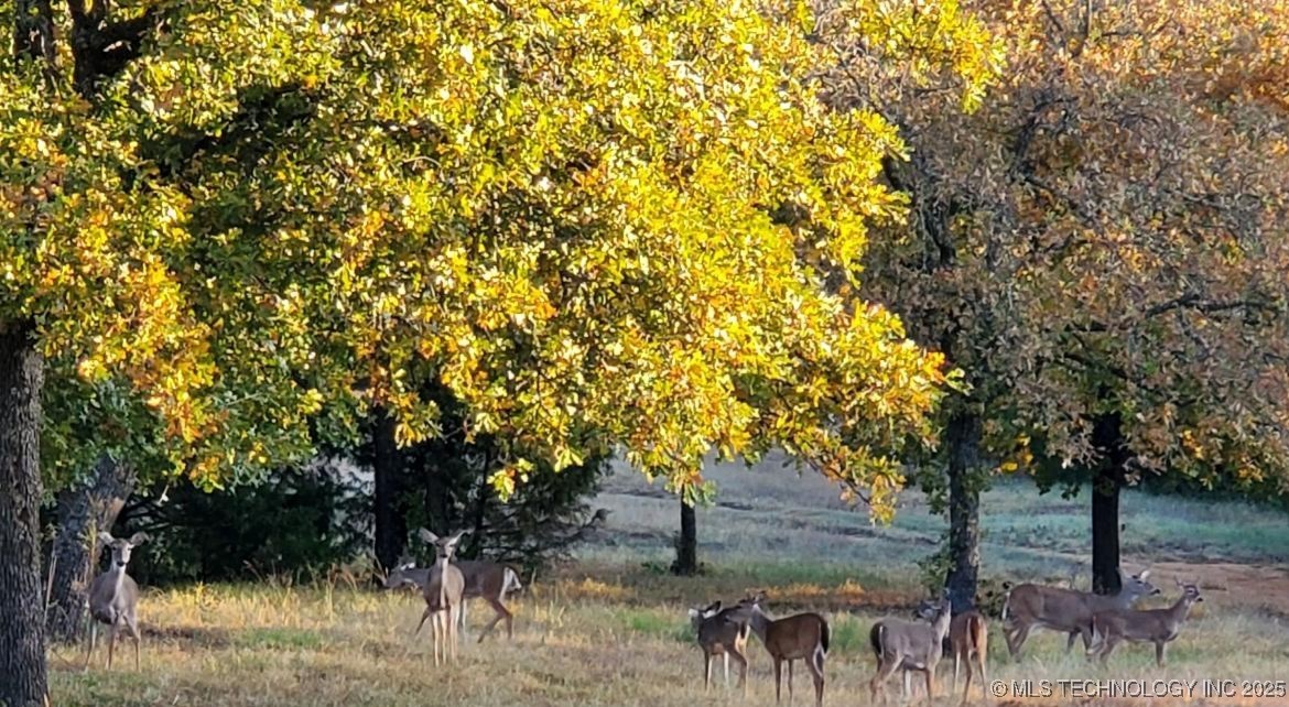 30 Peach Street Property Photo 62