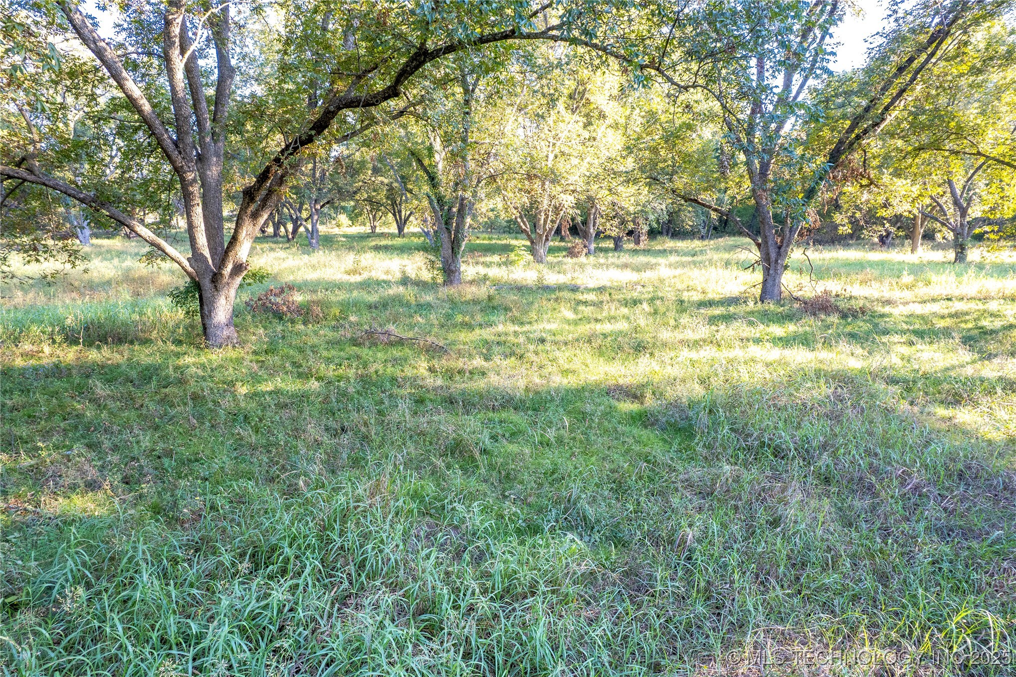 2011 W 1st Property Photo 5