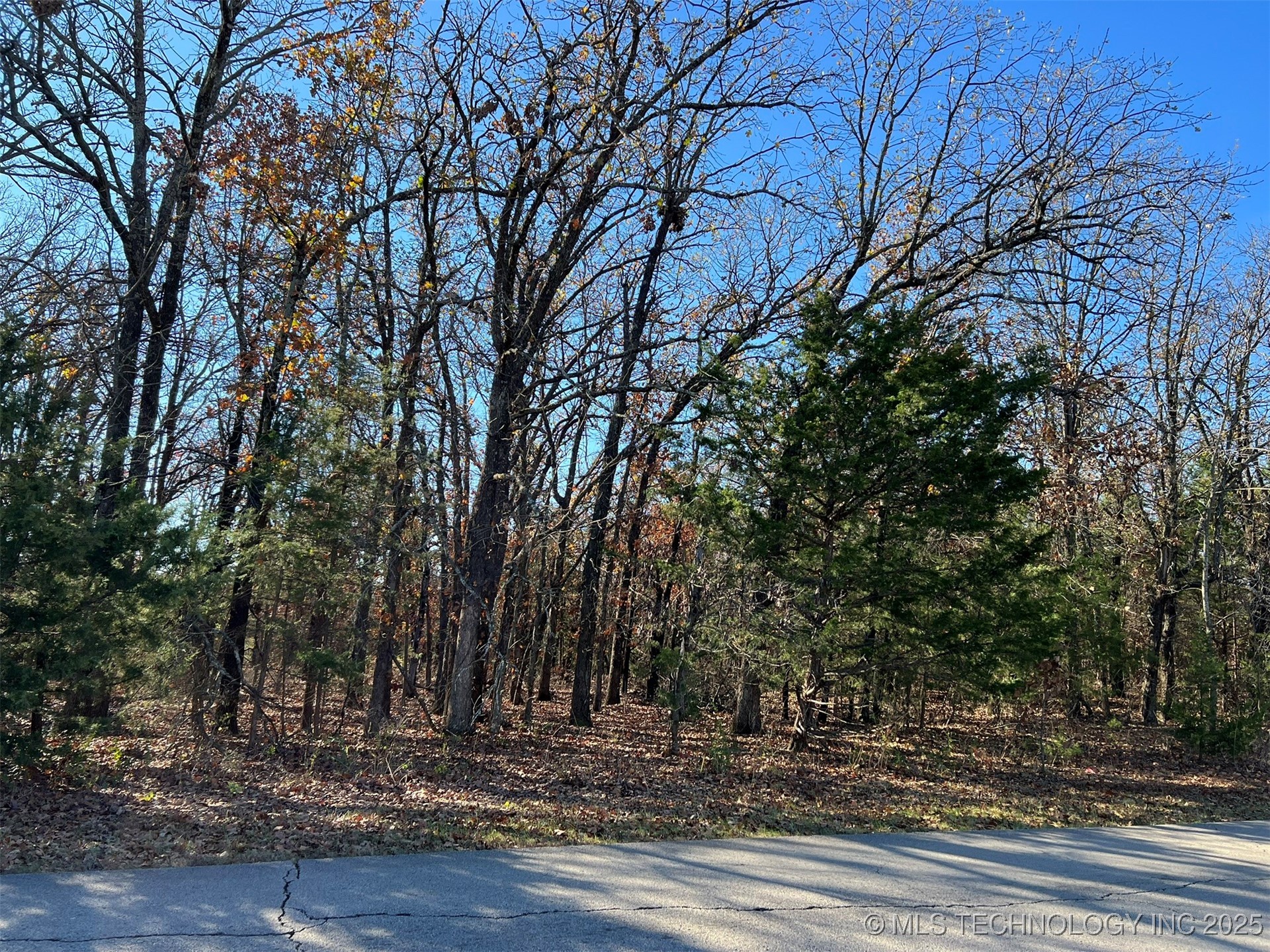 32552 Meadowood Drive Property Photo 1