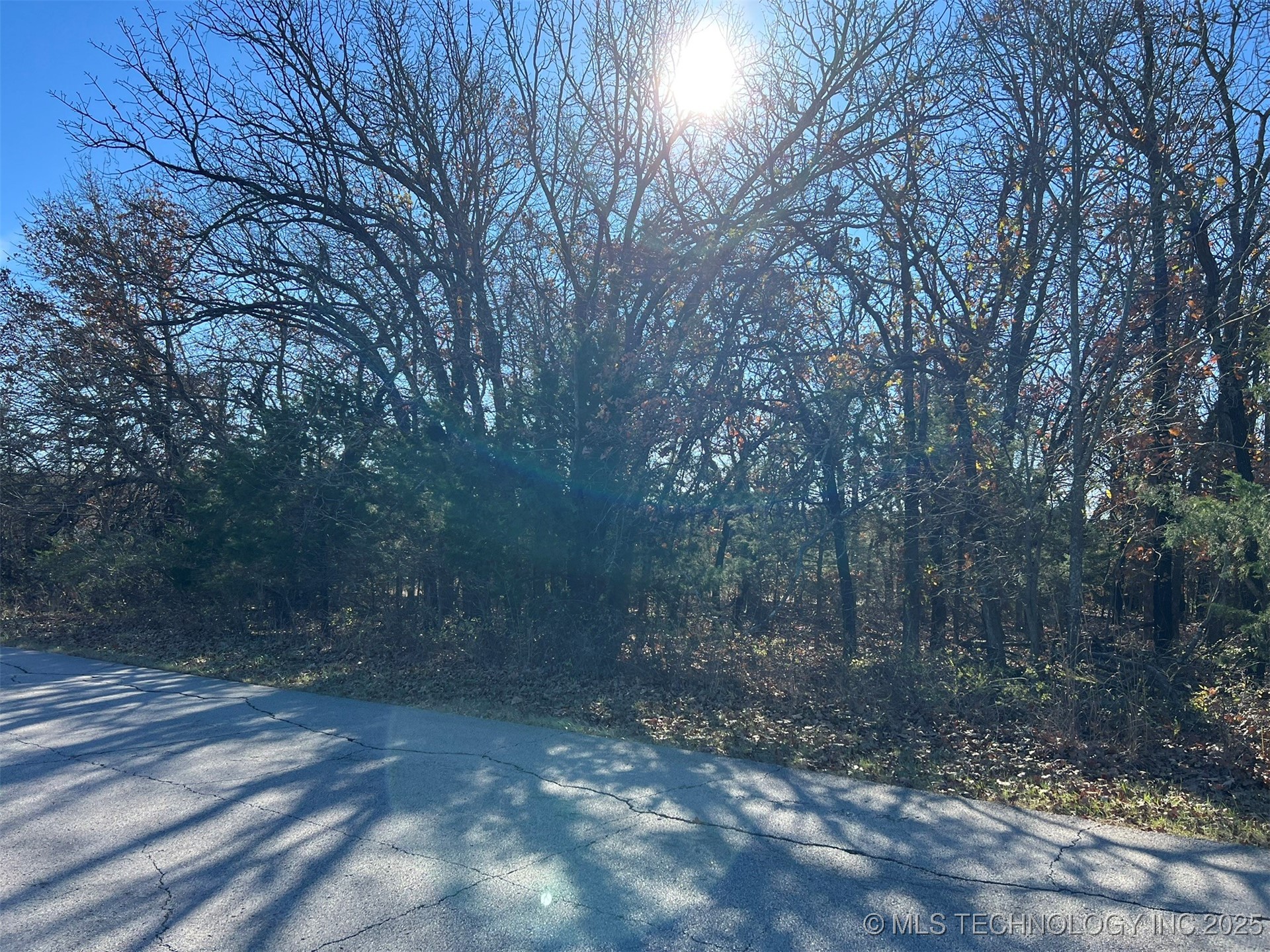 32552 Meadowood Drive Property Photo 4