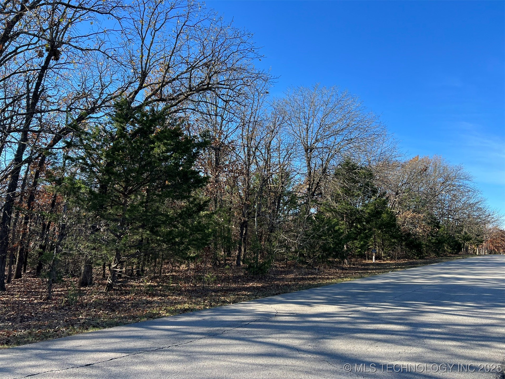 32552 Meadowood Drive Property Photo 5