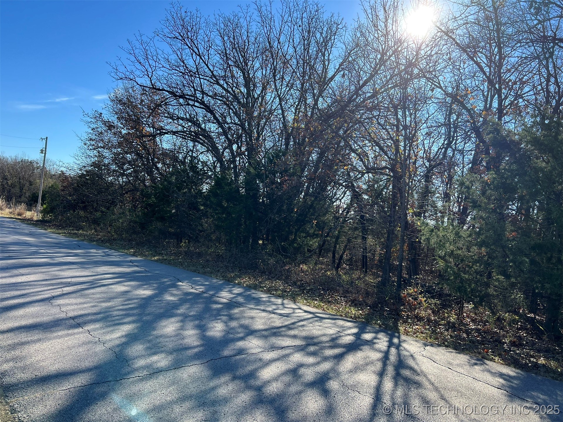 32552 Meadowood Drive Property Photo 6