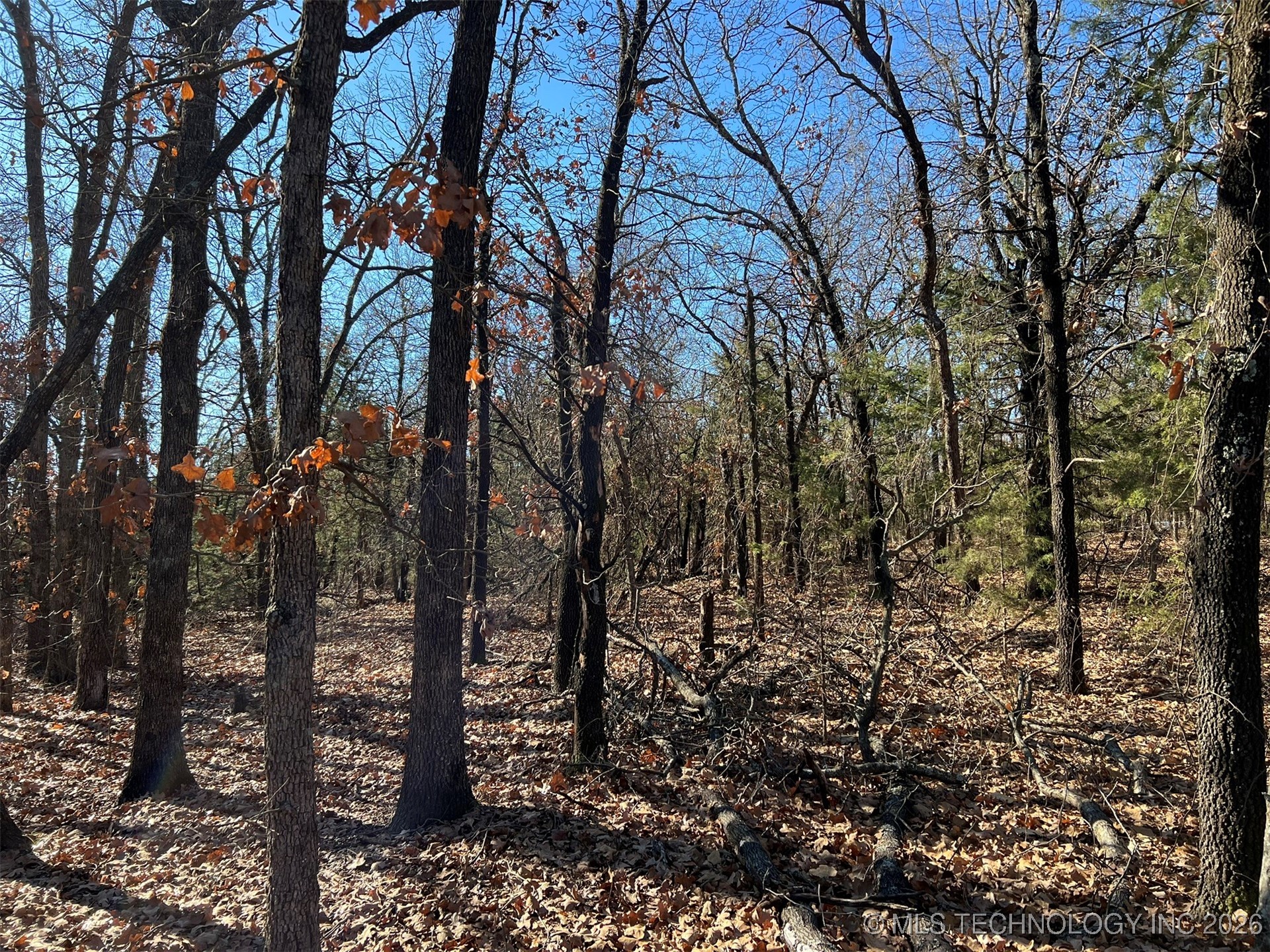 32552 Meadowood Drive Property Photo 8