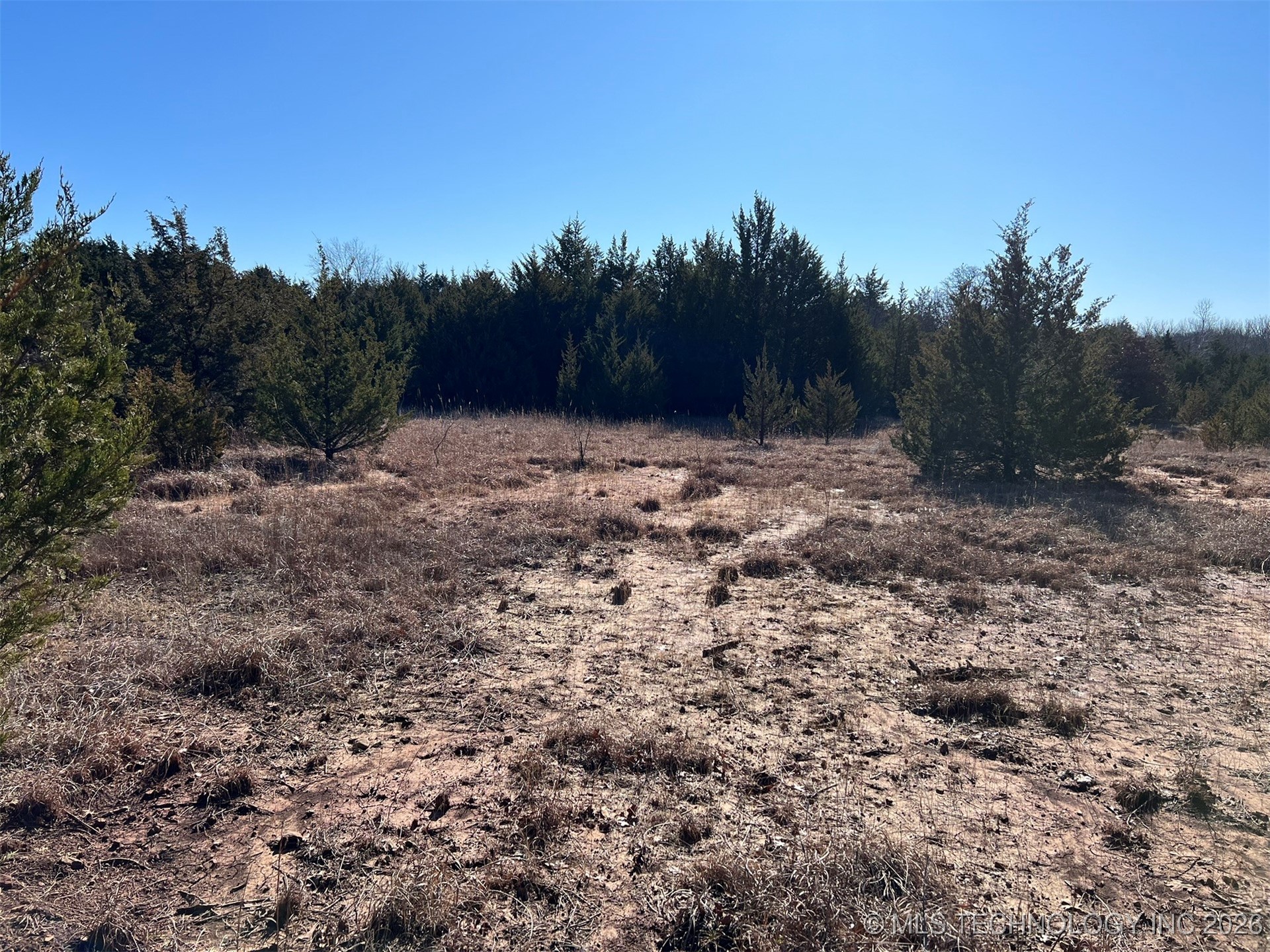 32552 Meadowood Drive Property Photo 9