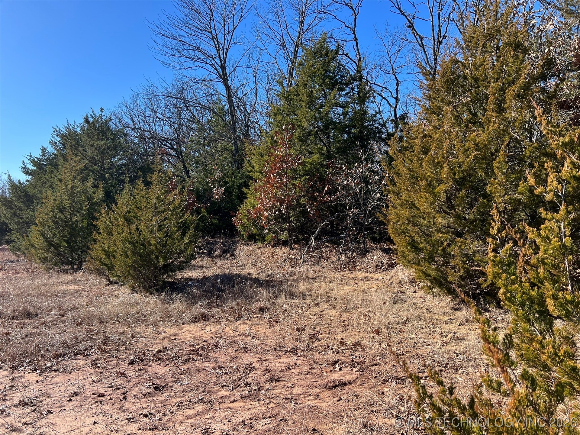 32552 Meadowood Drive Property Photo 10