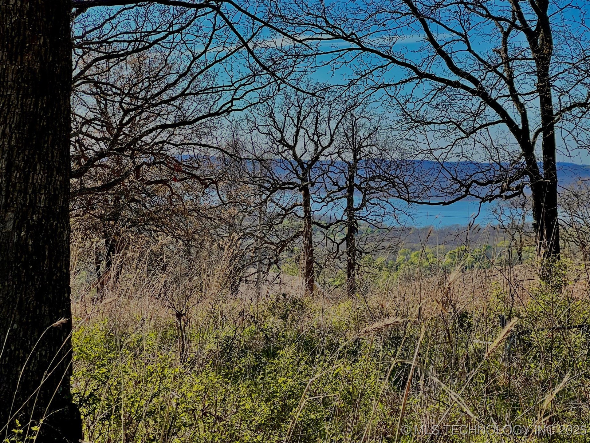 Wilderness Road Property Photo 3
