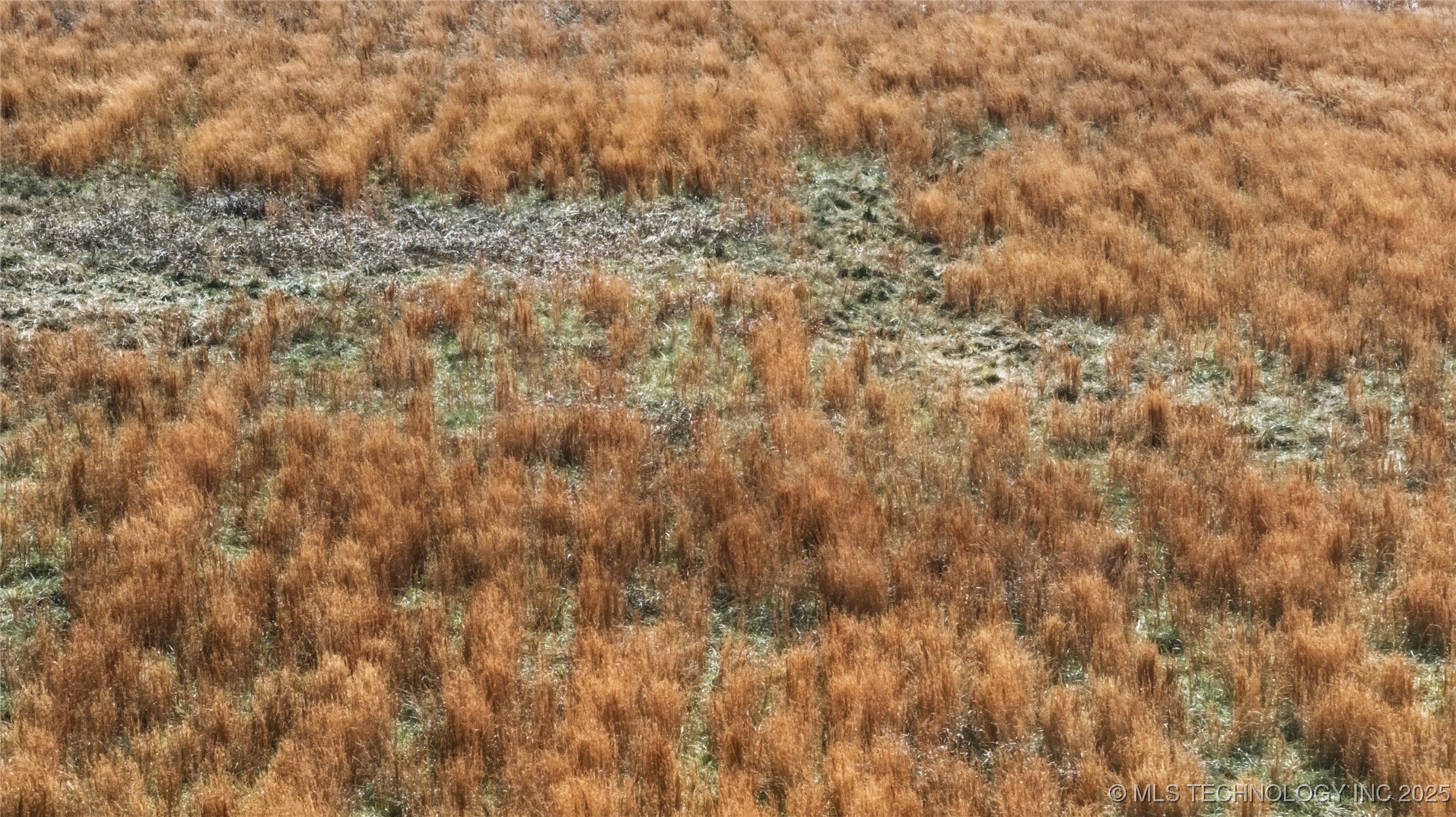 4163 W Fern Mountain Road Property Photo 9