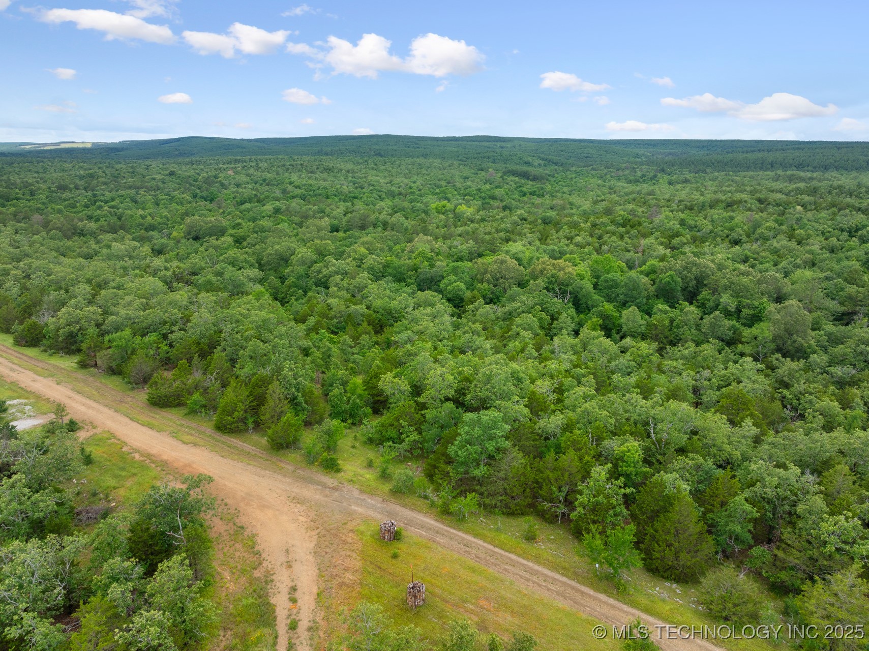 25 Tram Trail Property Photo 5