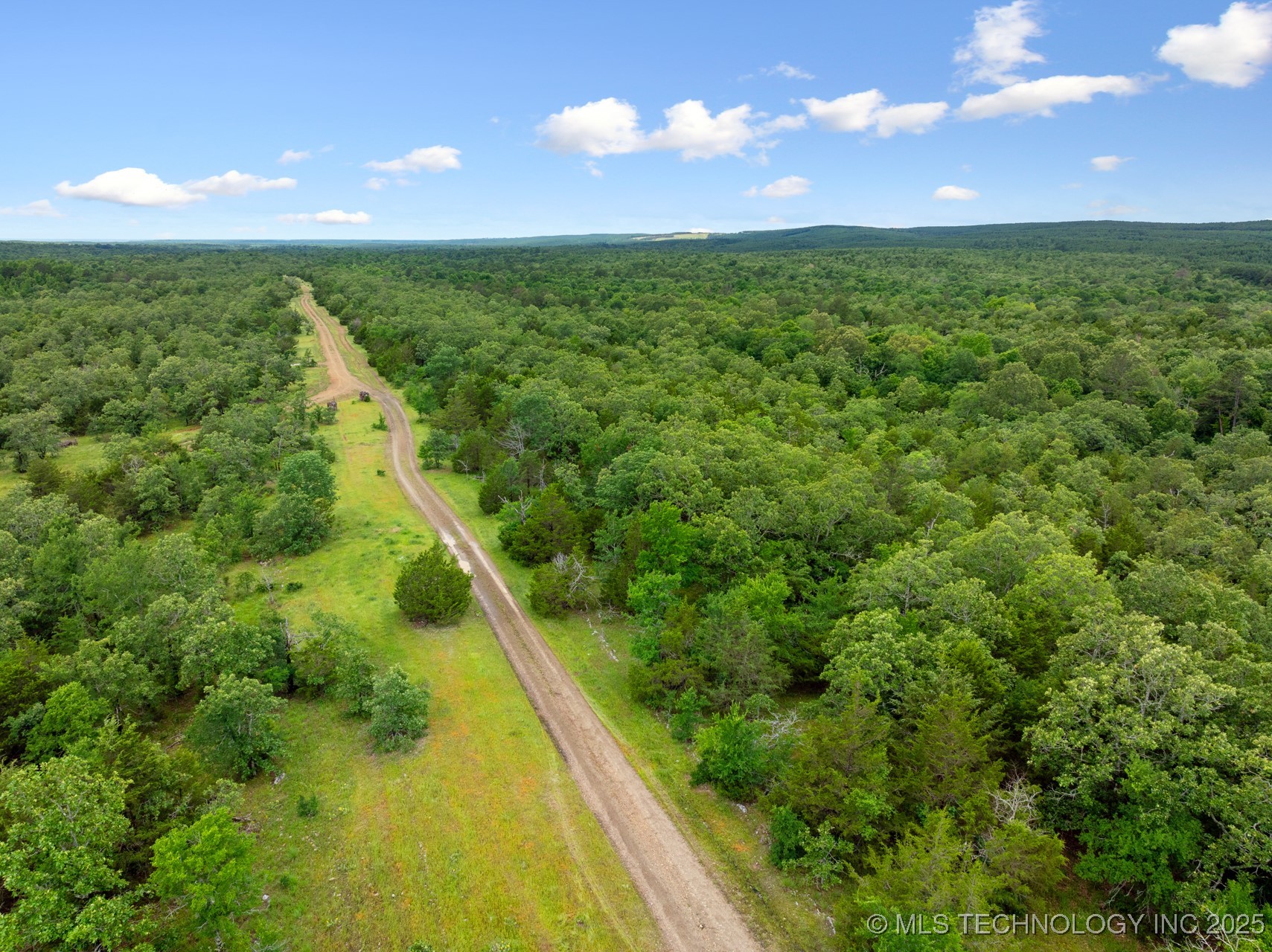 25 Tram Trail Property Photo 6