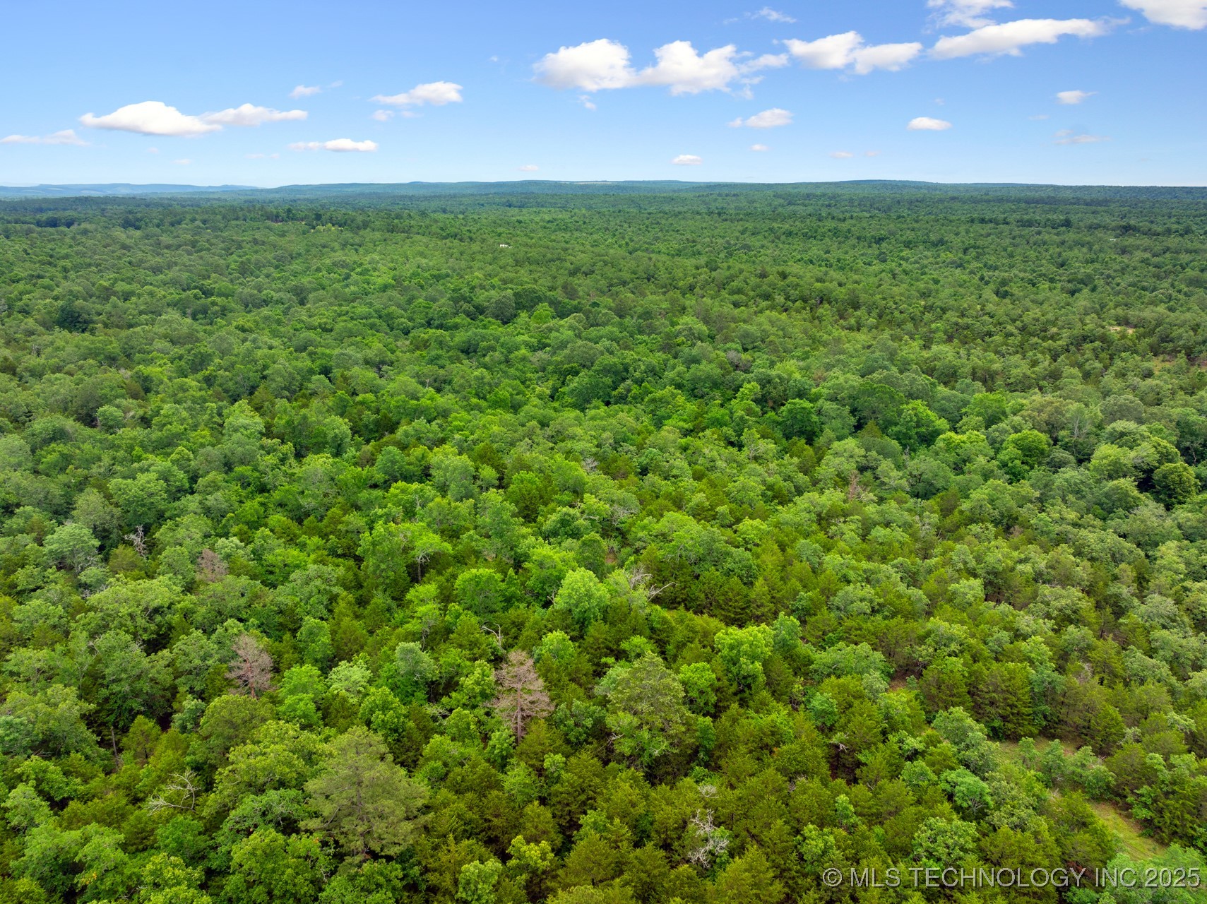 25 Tram Trail Property Photo 9