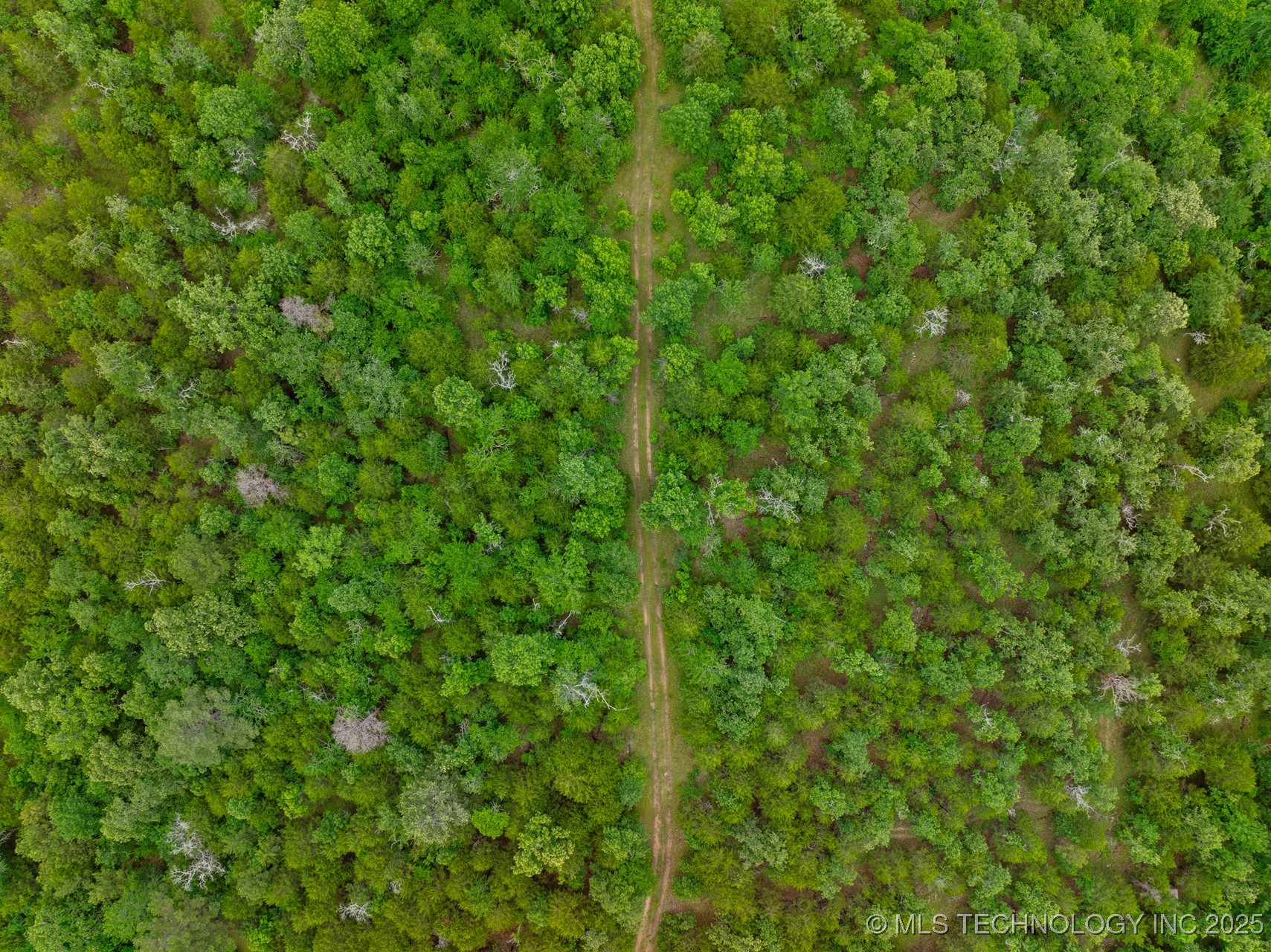 25 Tram Trail Property Photo 10