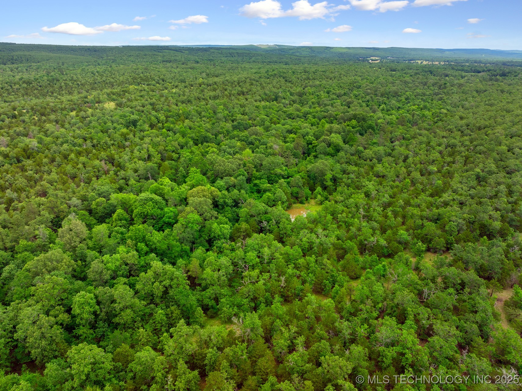 25 Tram Trail Property Photo 12