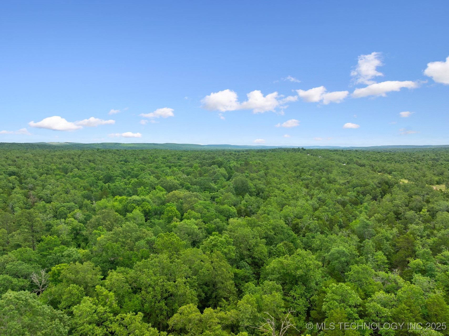 25 Tram Trail Property Photo 13