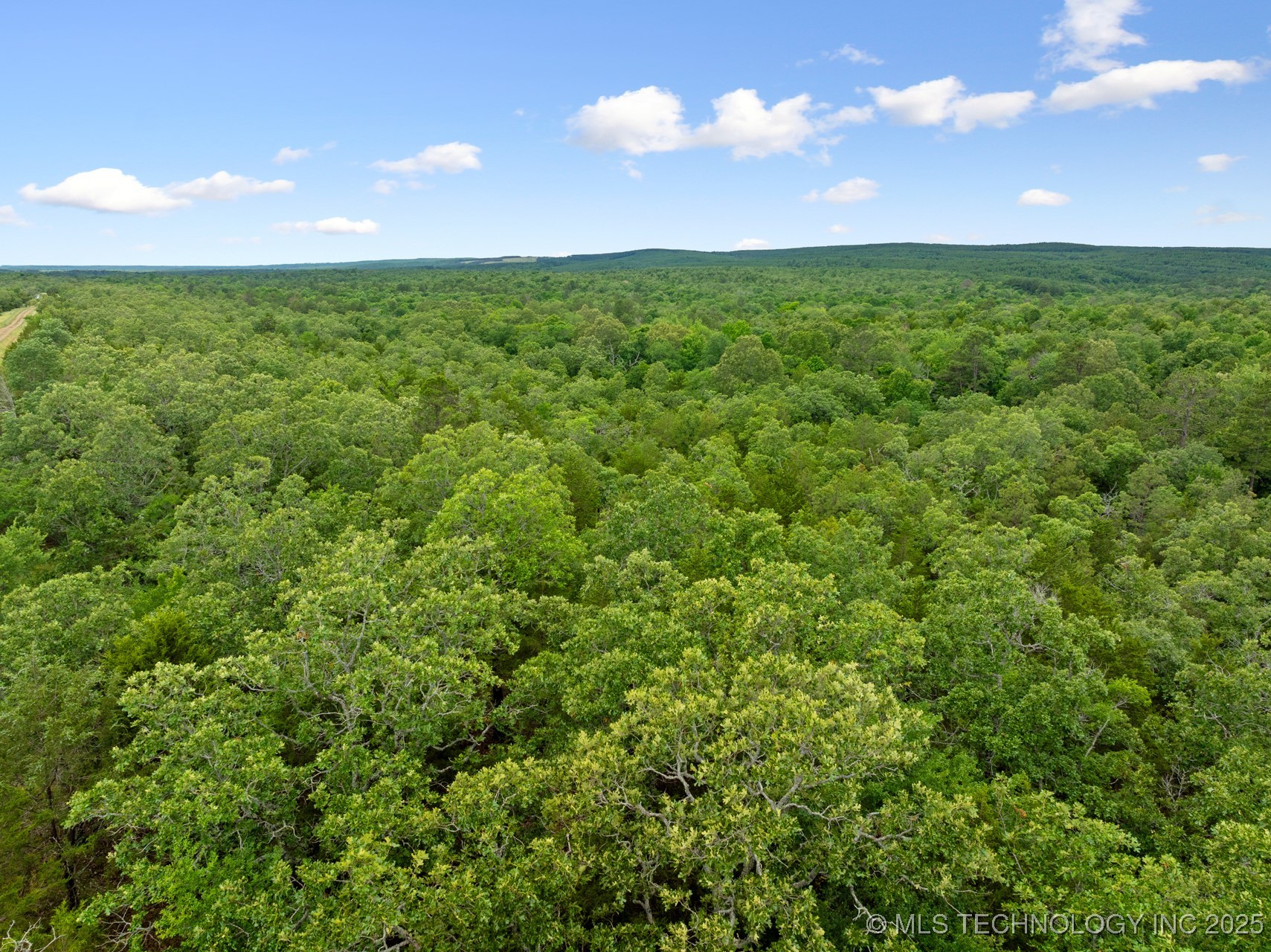 25 Tram Trail Property Photo 14