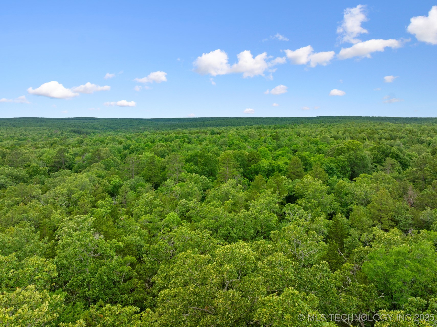 25 Tram Trail Property Photo 15