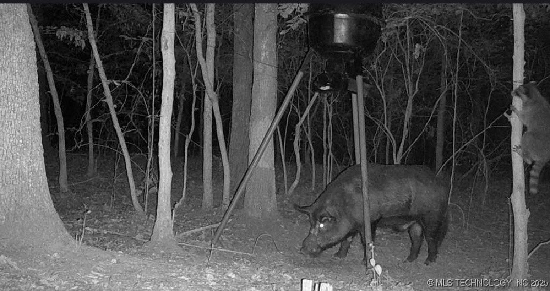 25 Tram Trail Property Photo 16