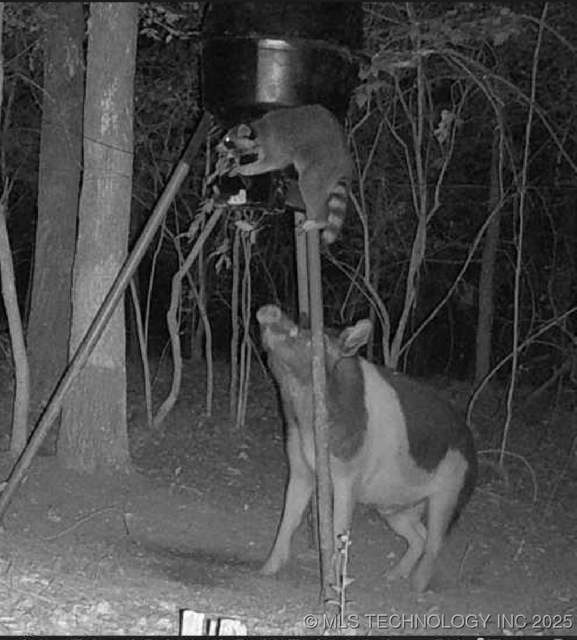 25 Tram Trail Property Photo 17