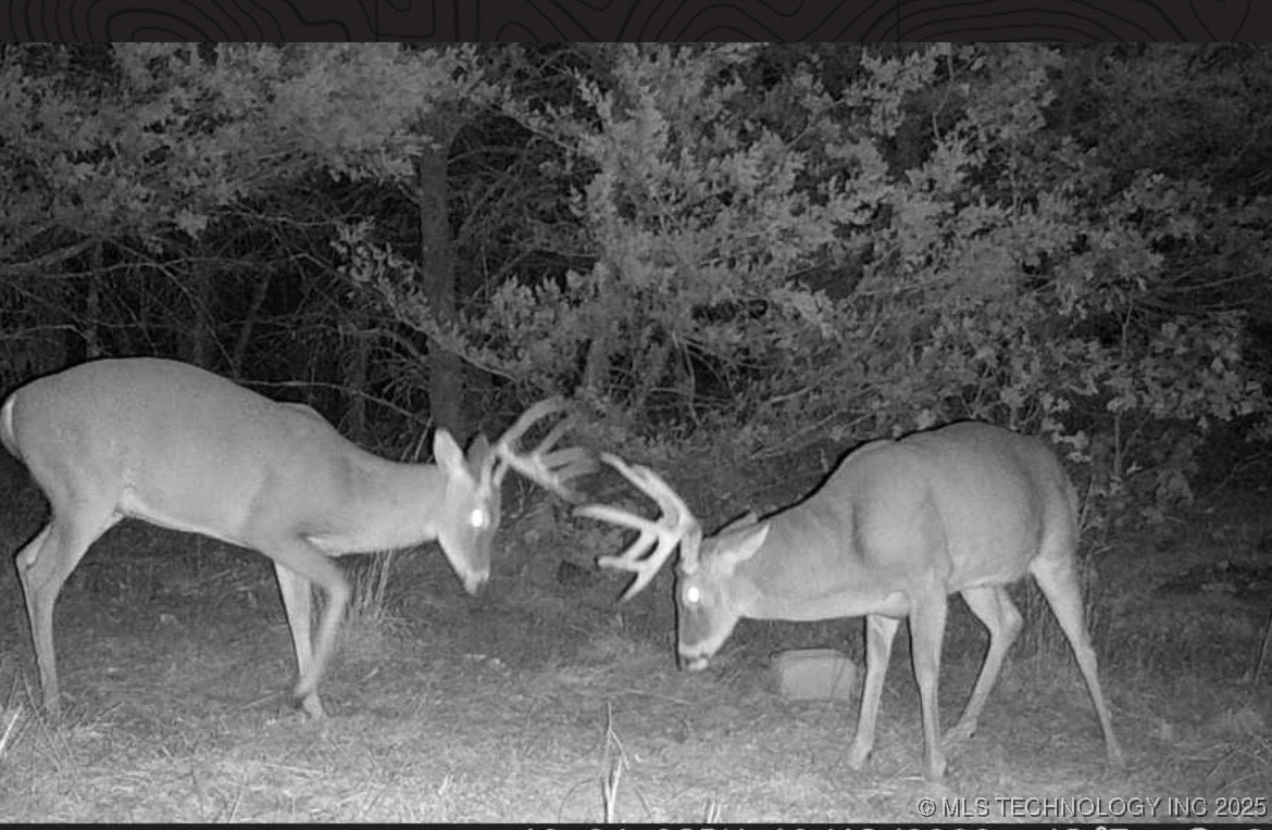 25 Tram Trail Property Photo 18