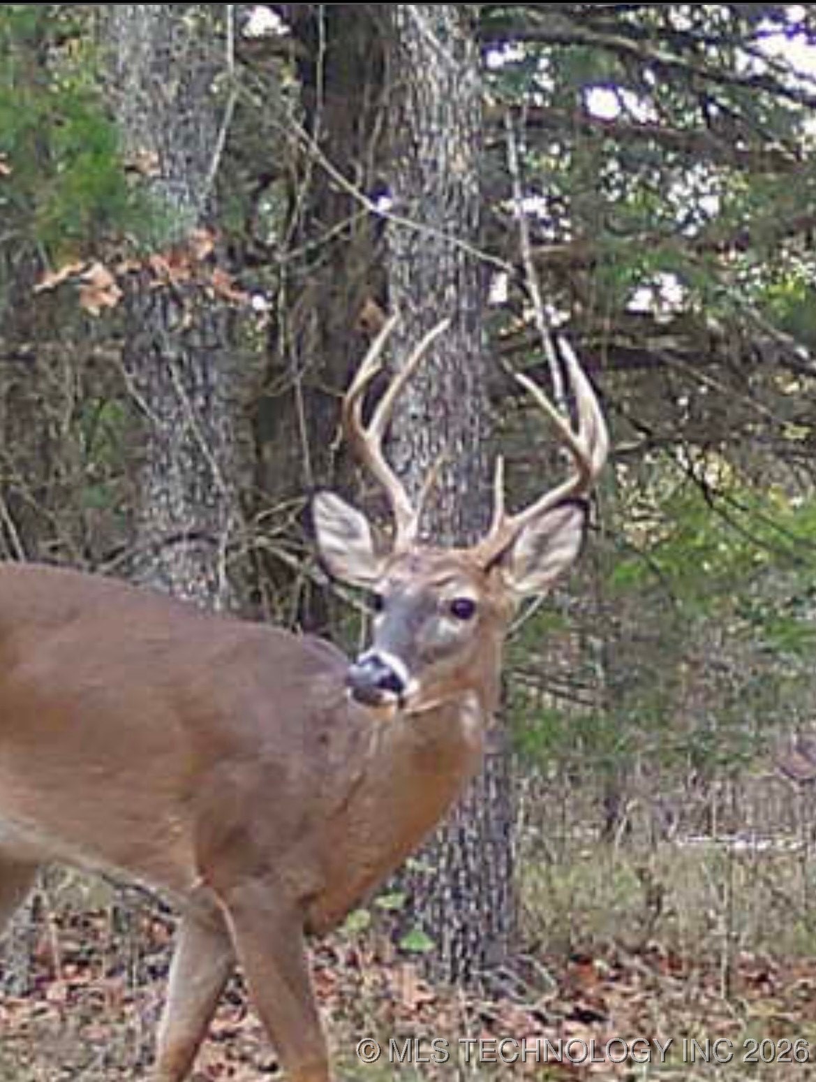 25 Tram Trail Property Photo 20