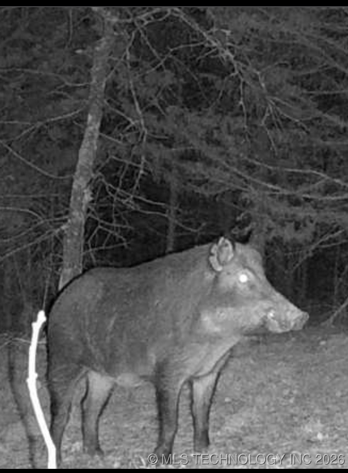 25 Tram Trail Property Photo 22