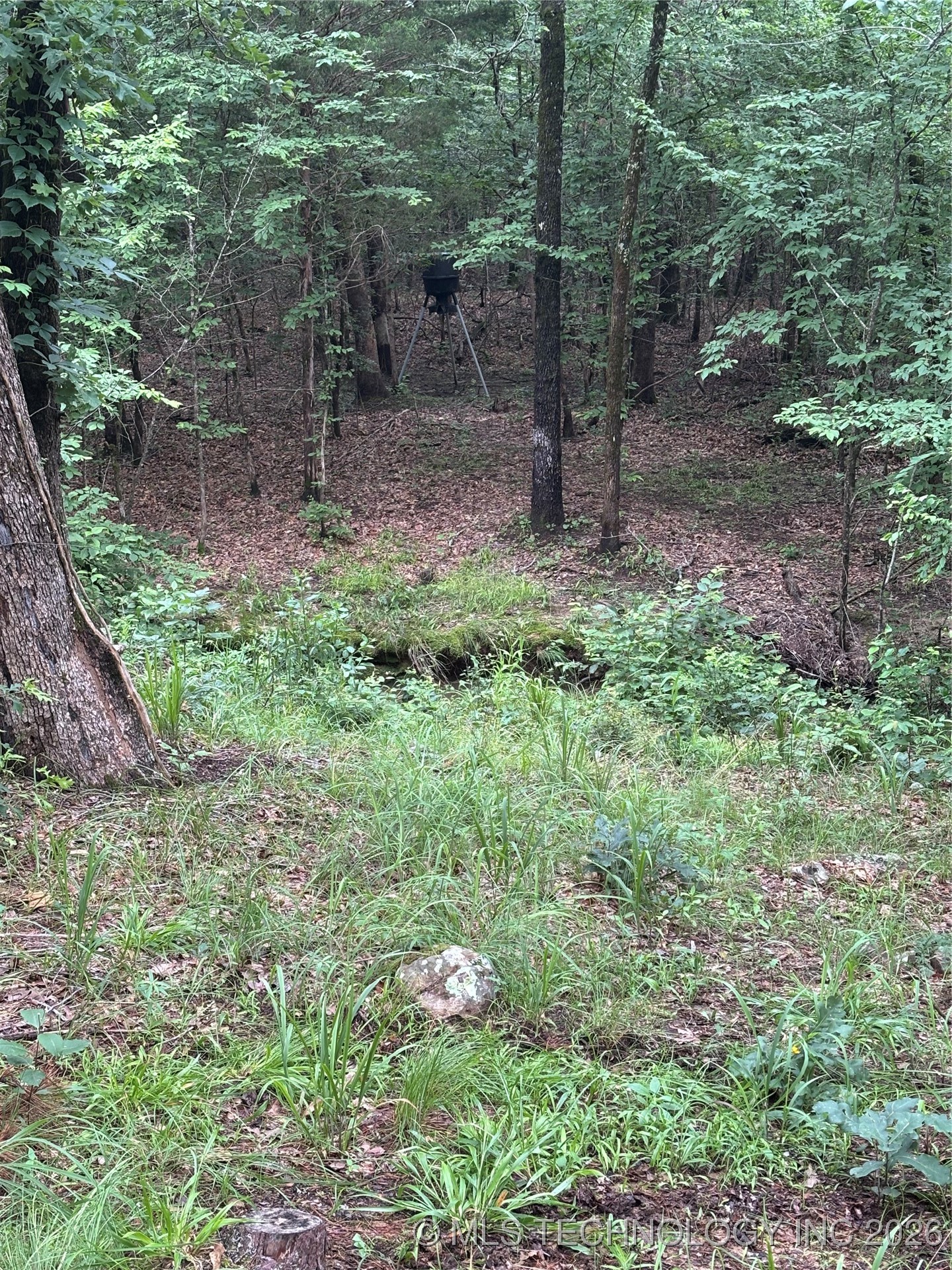 25 Tram Trail Property Photo 23