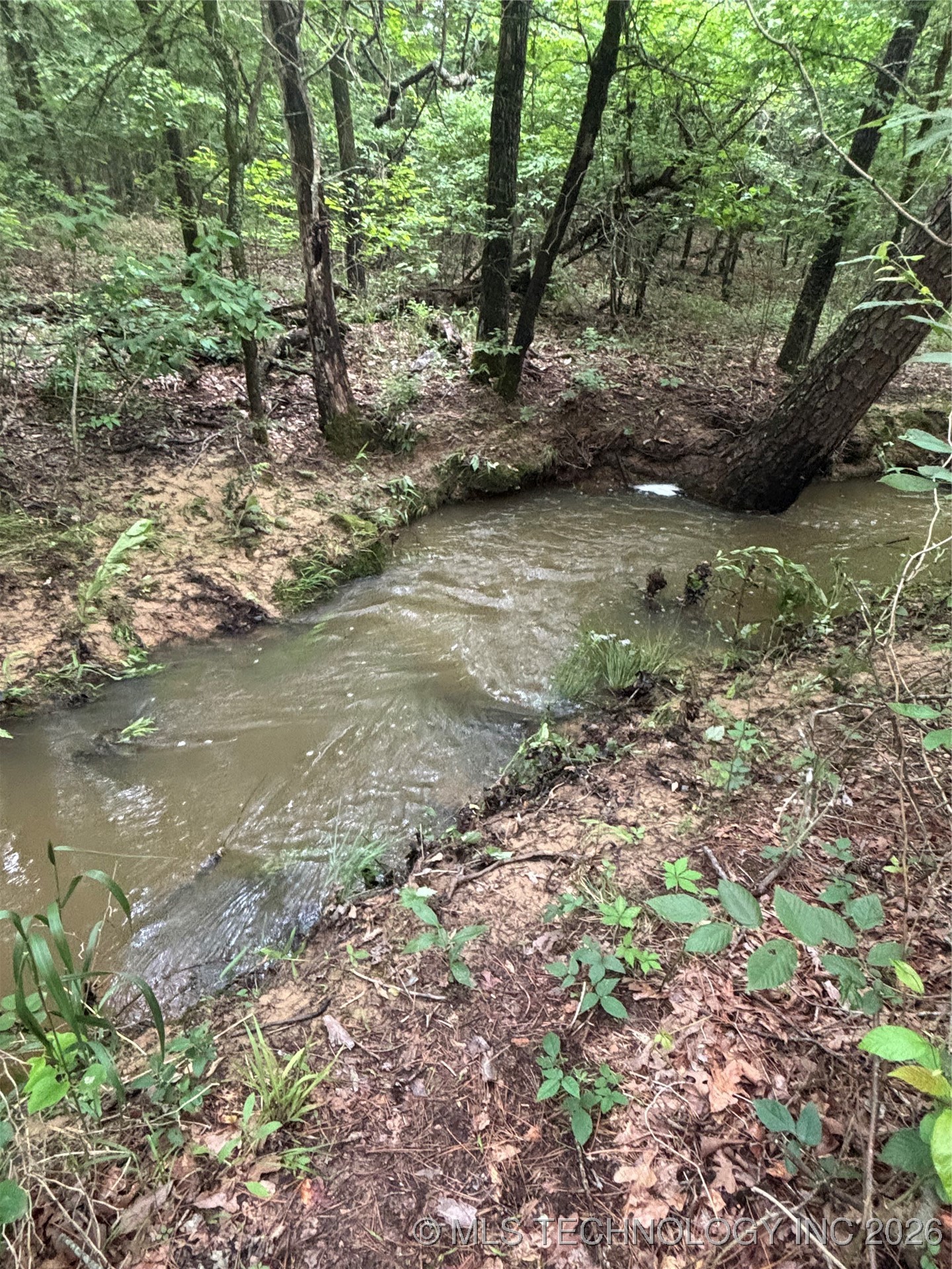 25 Tram Trail Property Photo 24