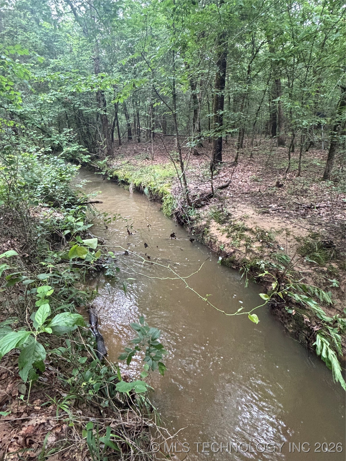 25 Tram Trail Property Photo 25