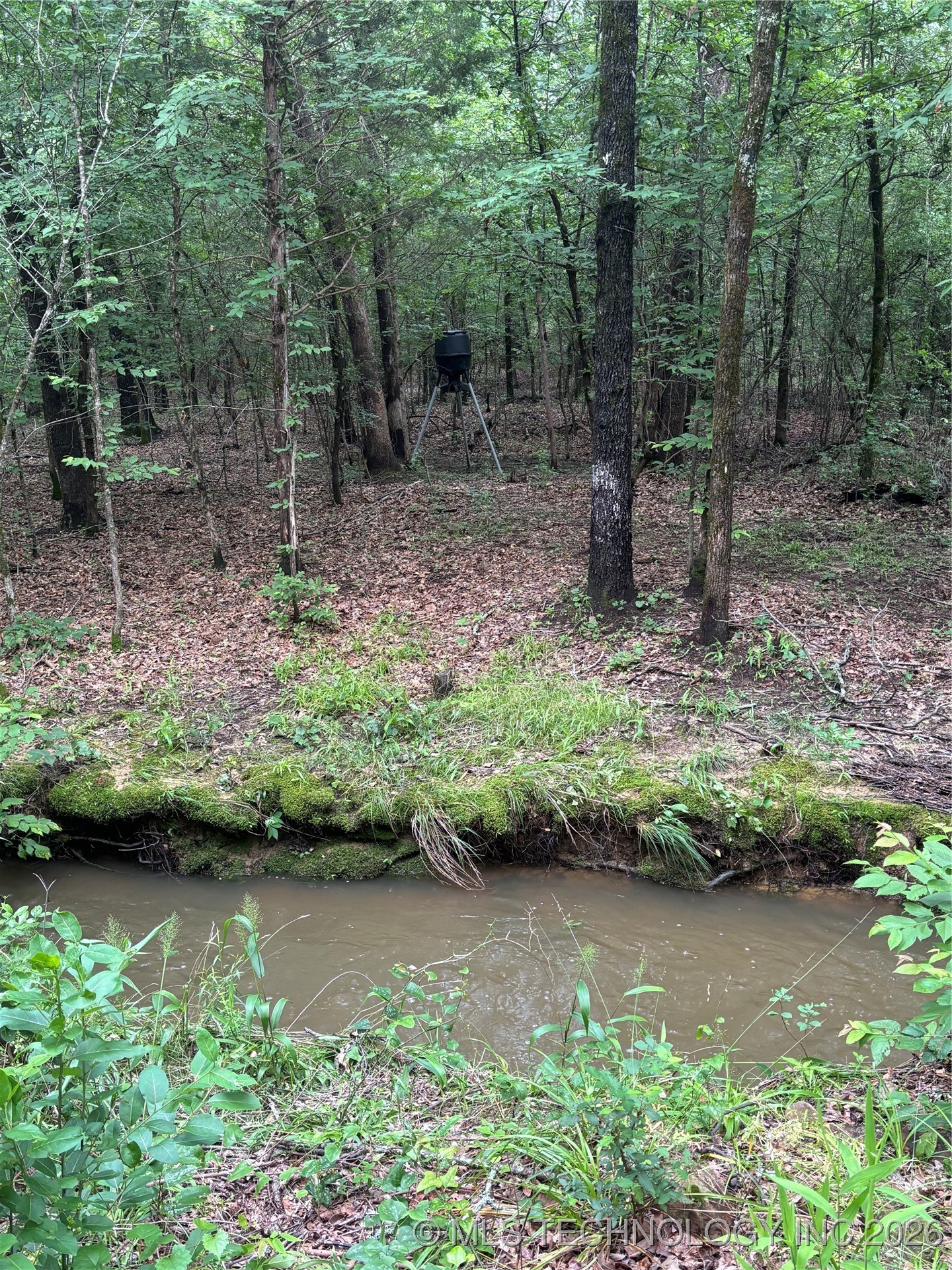 25 Tram Trail Property Photo 26