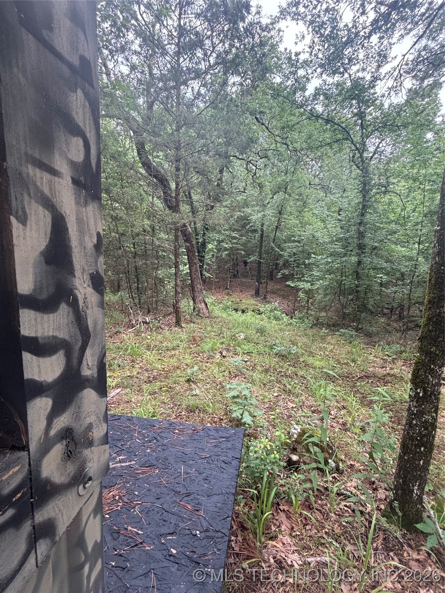 25 Tram Trail Property Photo 29