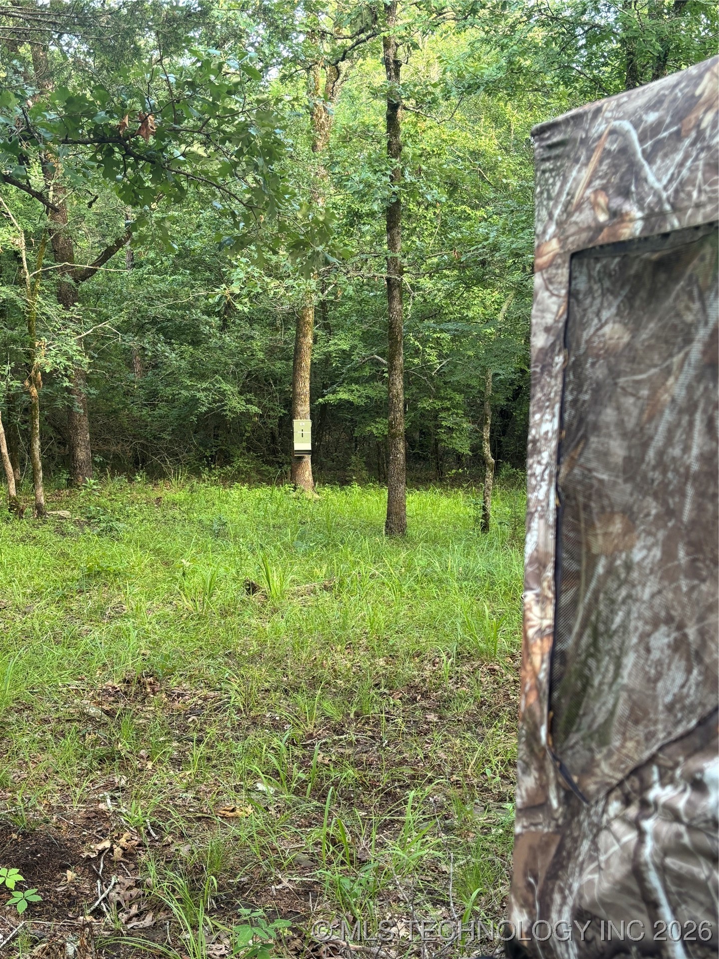 25 Tram Trail Property Photo 31