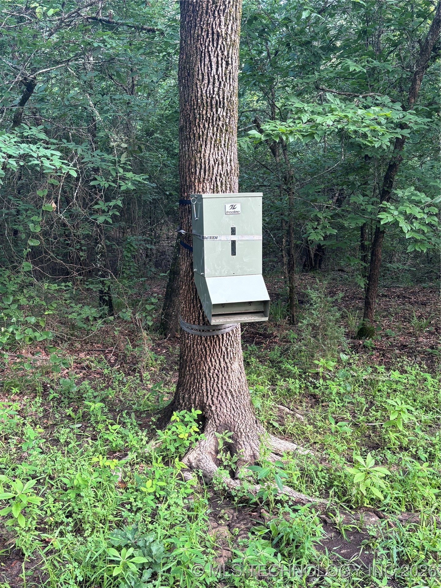 25 Tram Trail Property Photo 32