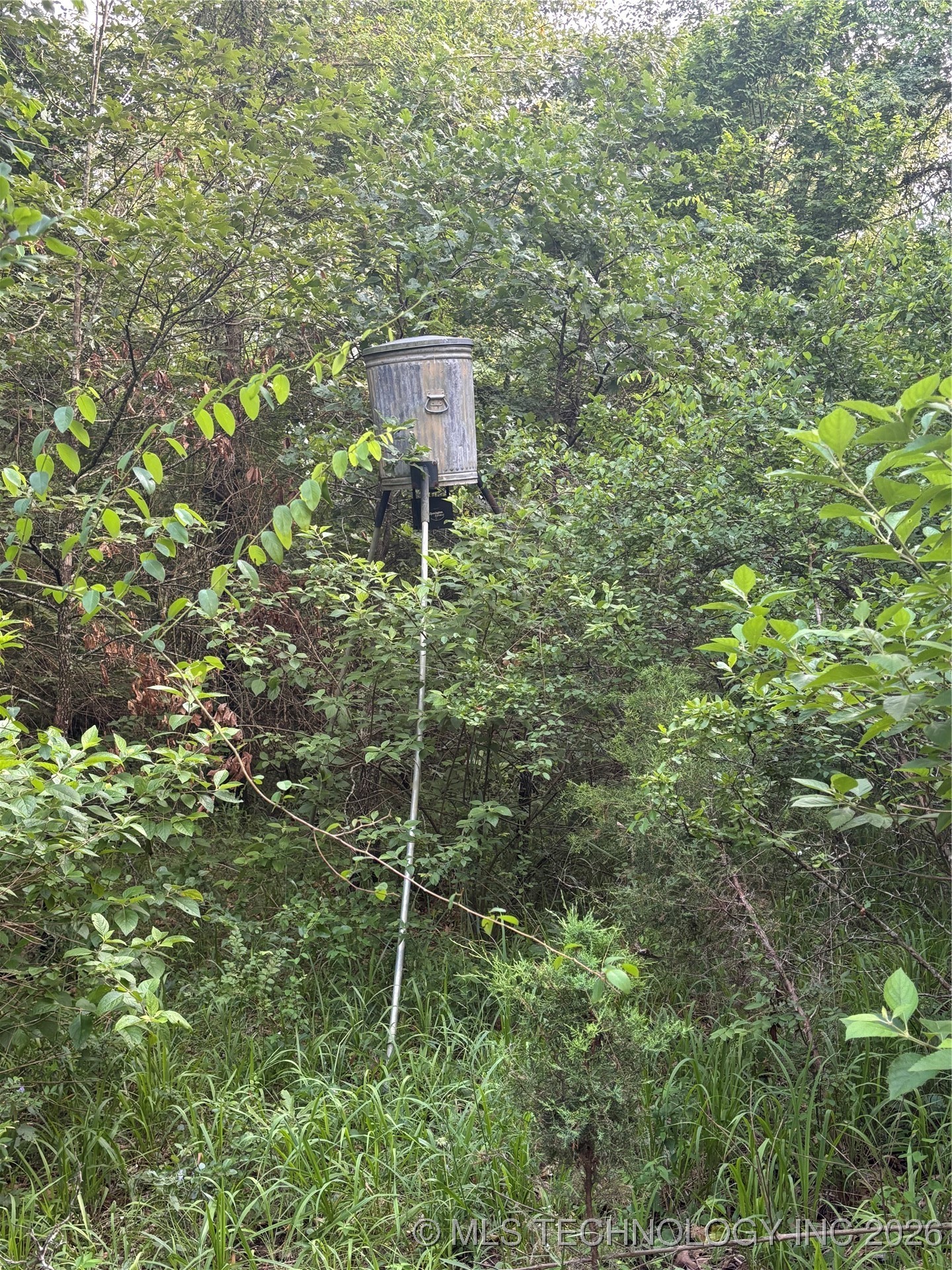 25 Tram Trail Property Photo 37