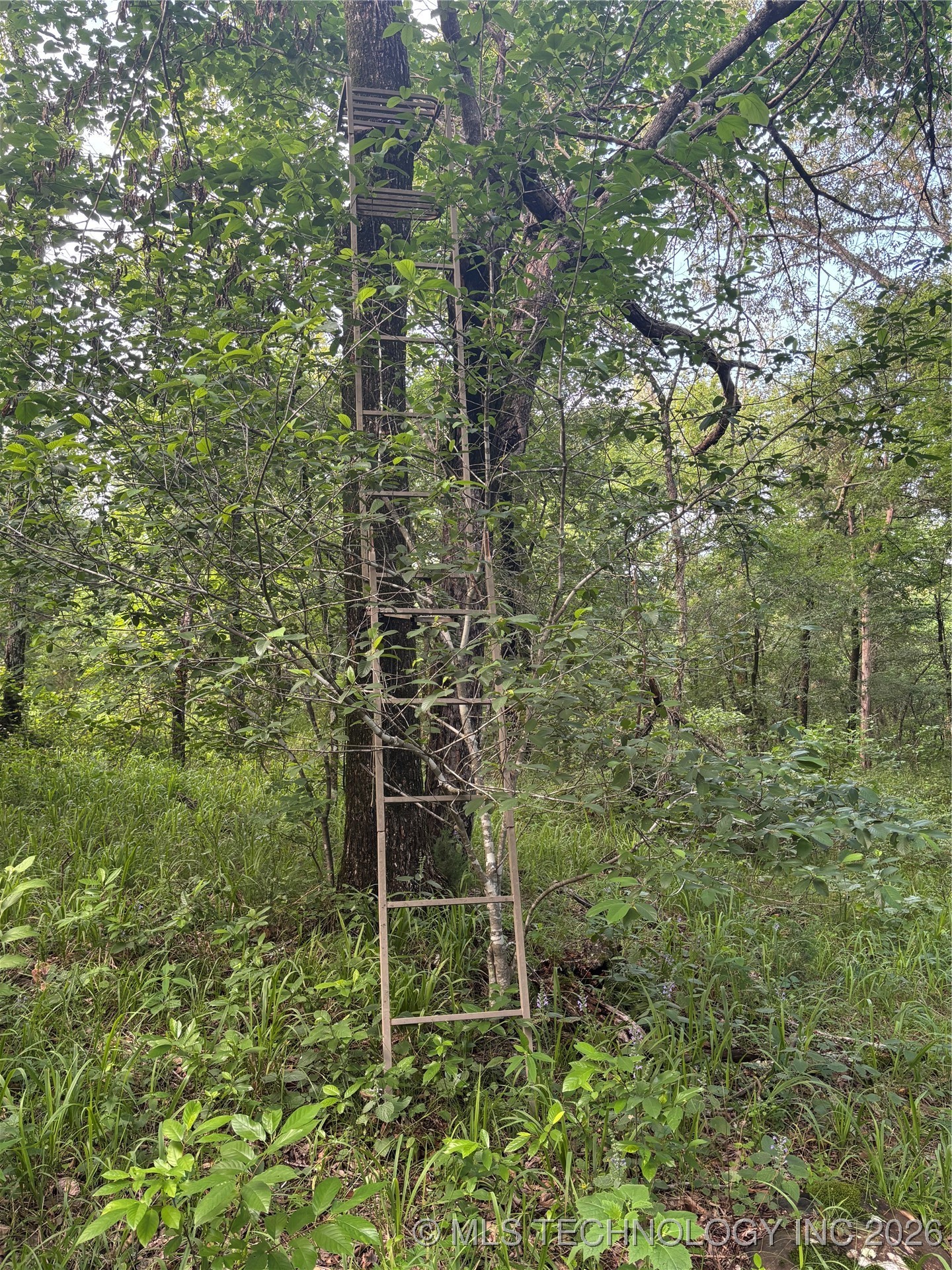 25 Tram Trail Property Photo 38