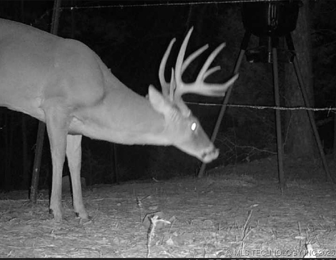 25 Tram Trail Property Photo 47