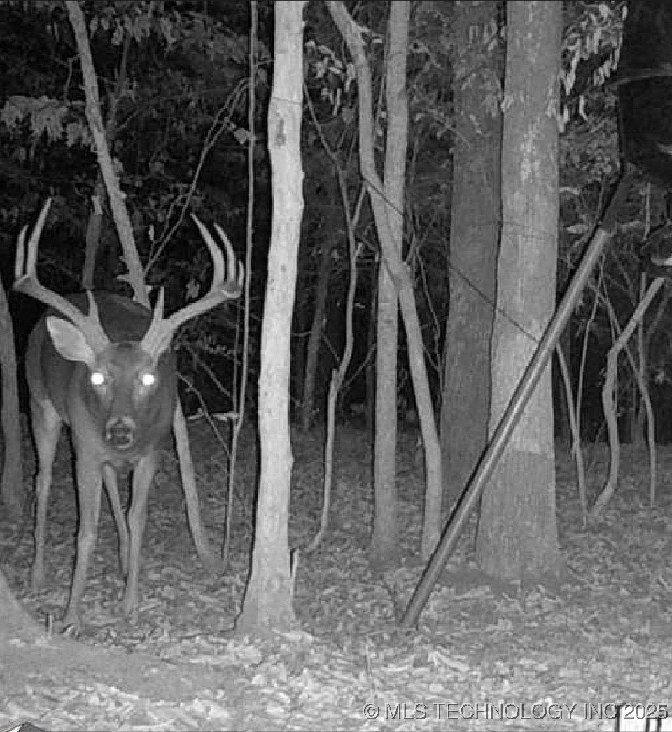 25 Tram Trail Property Photo 48