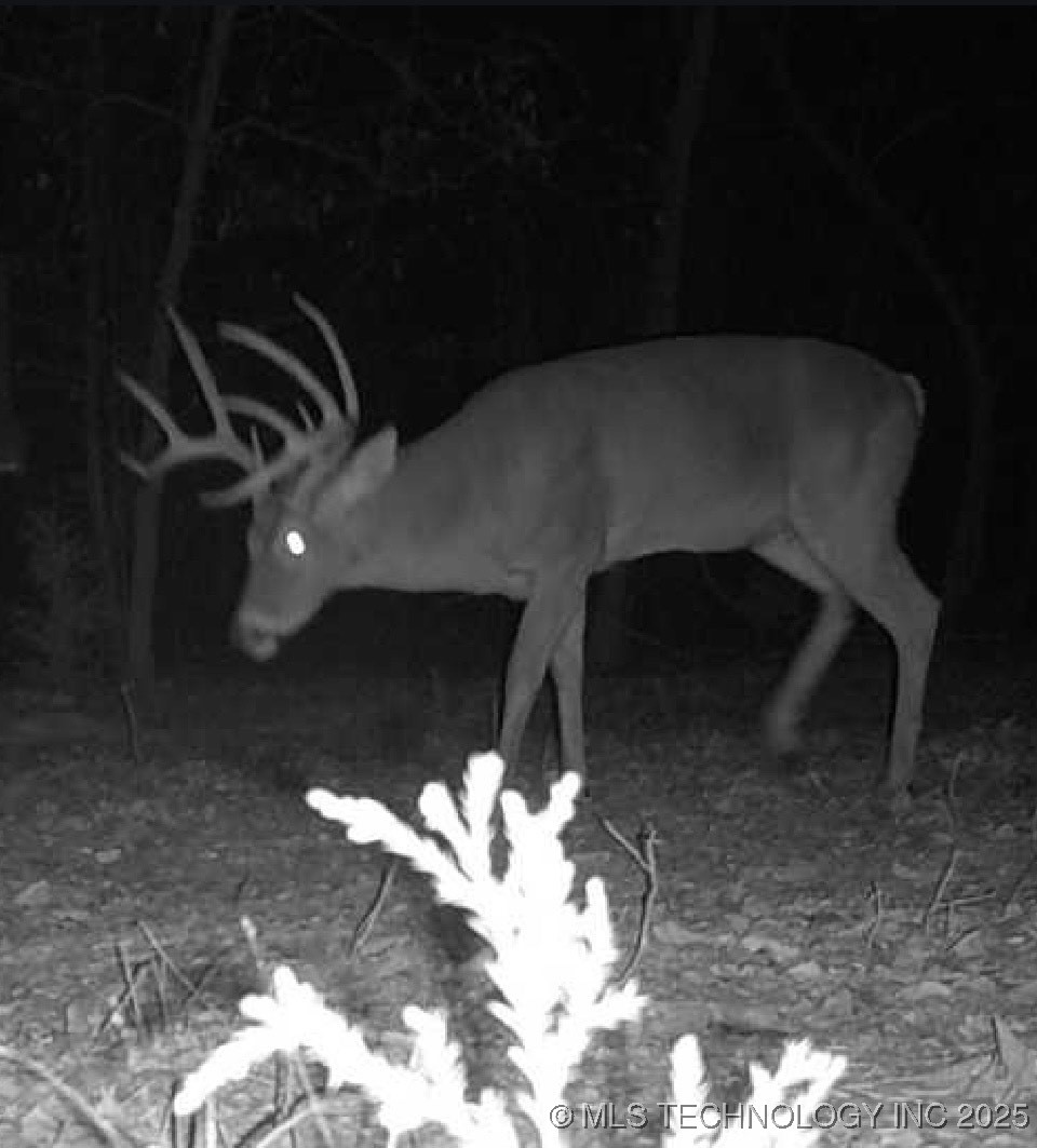 25 Tram Trail Property Photo 49