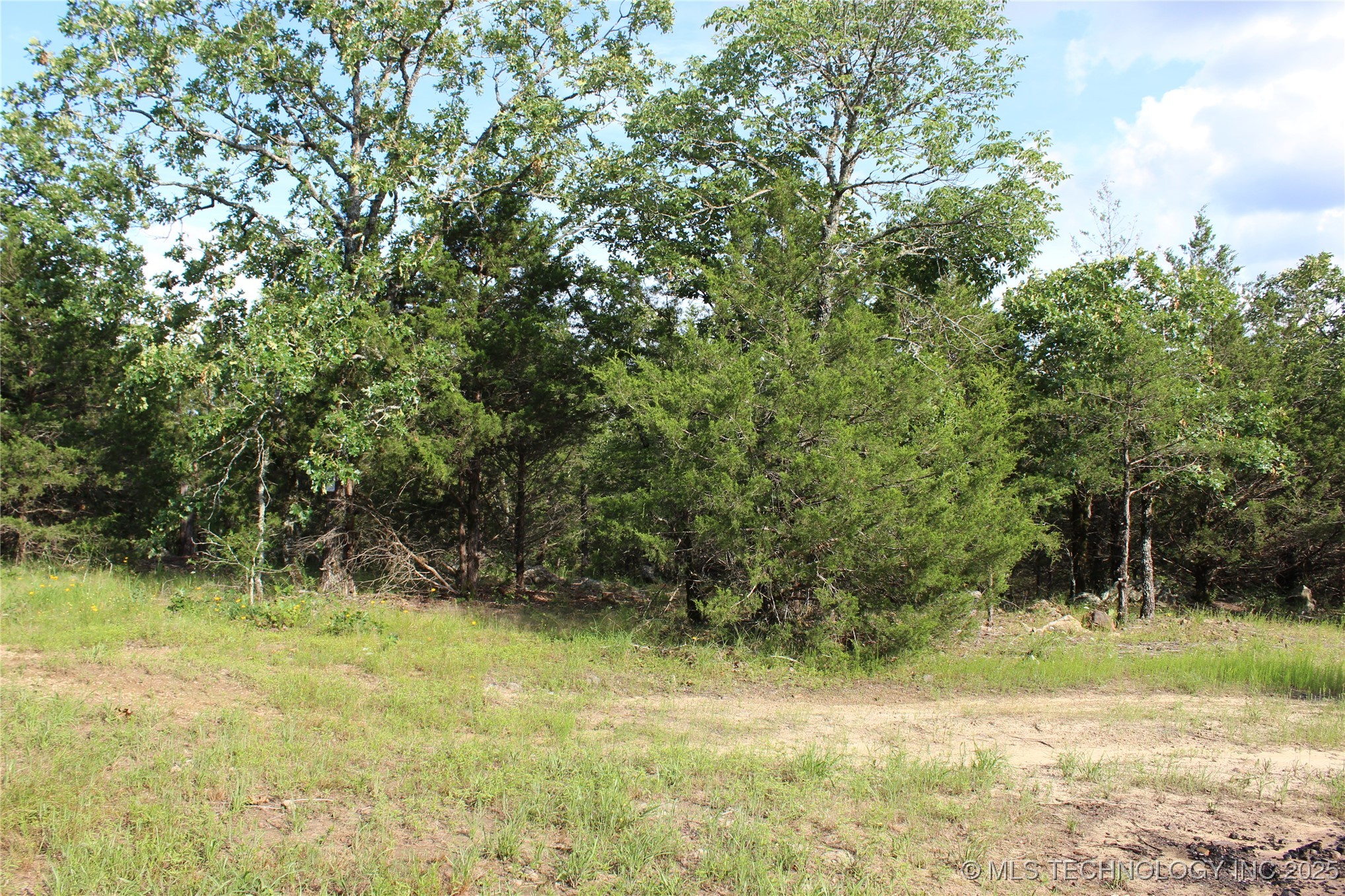 25 Tram Trail Property Photo 54