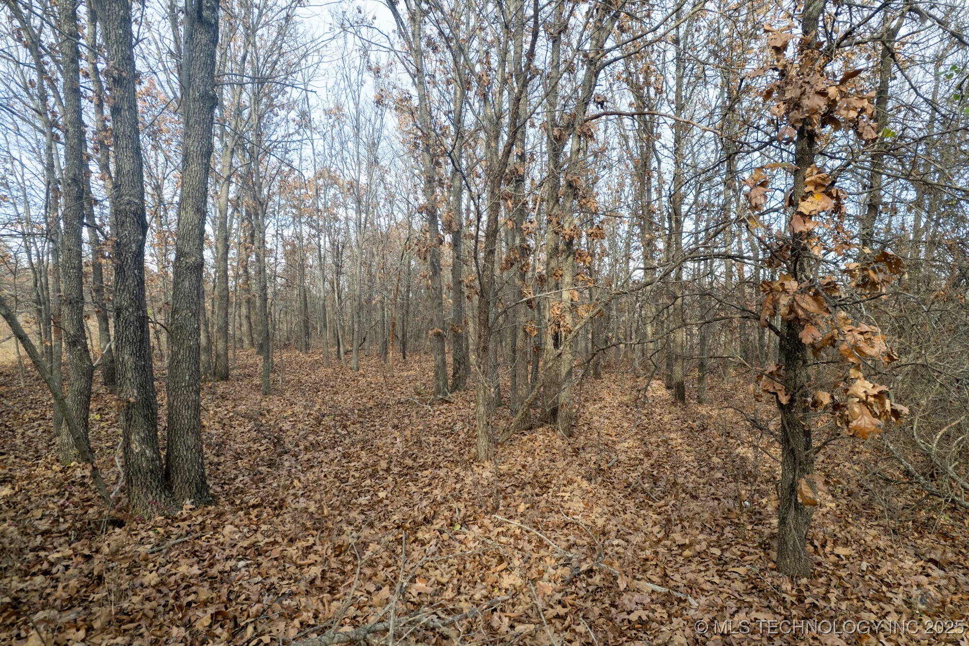 59 S 4320 Road Property Photo 12