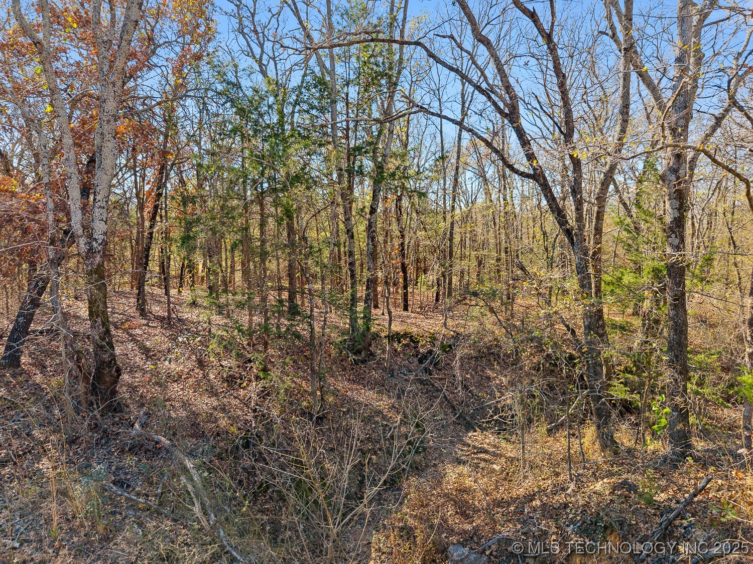 95 Express Road Property Photo 34