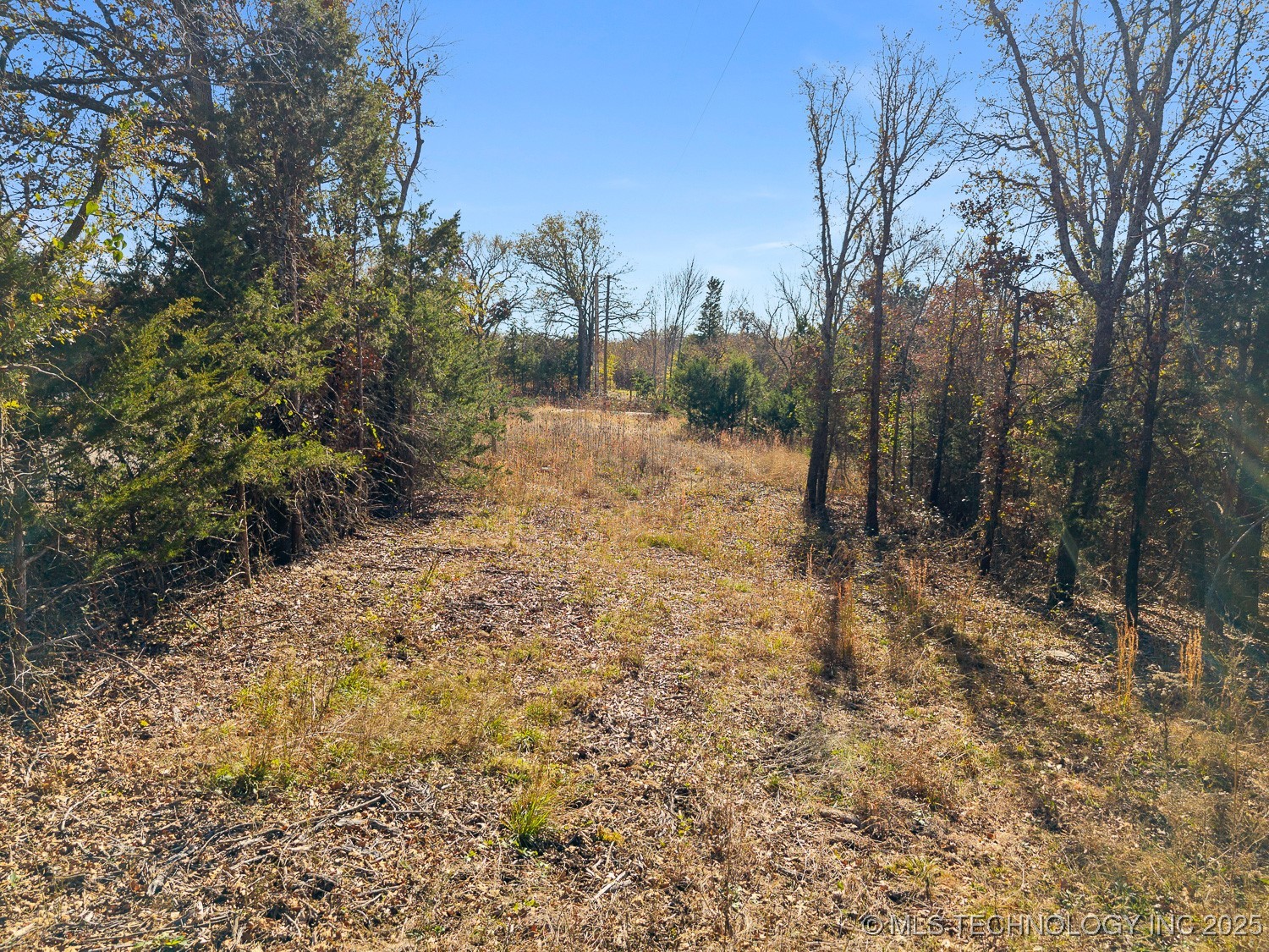 95 Express Road Property Photo 35