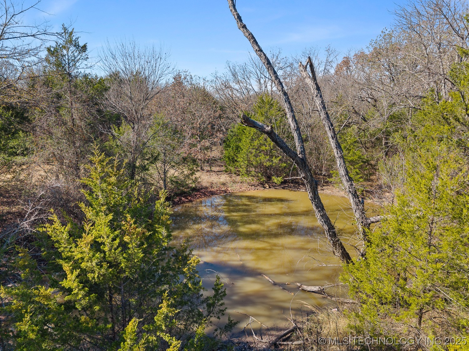 95 Express Road Property Photo 36