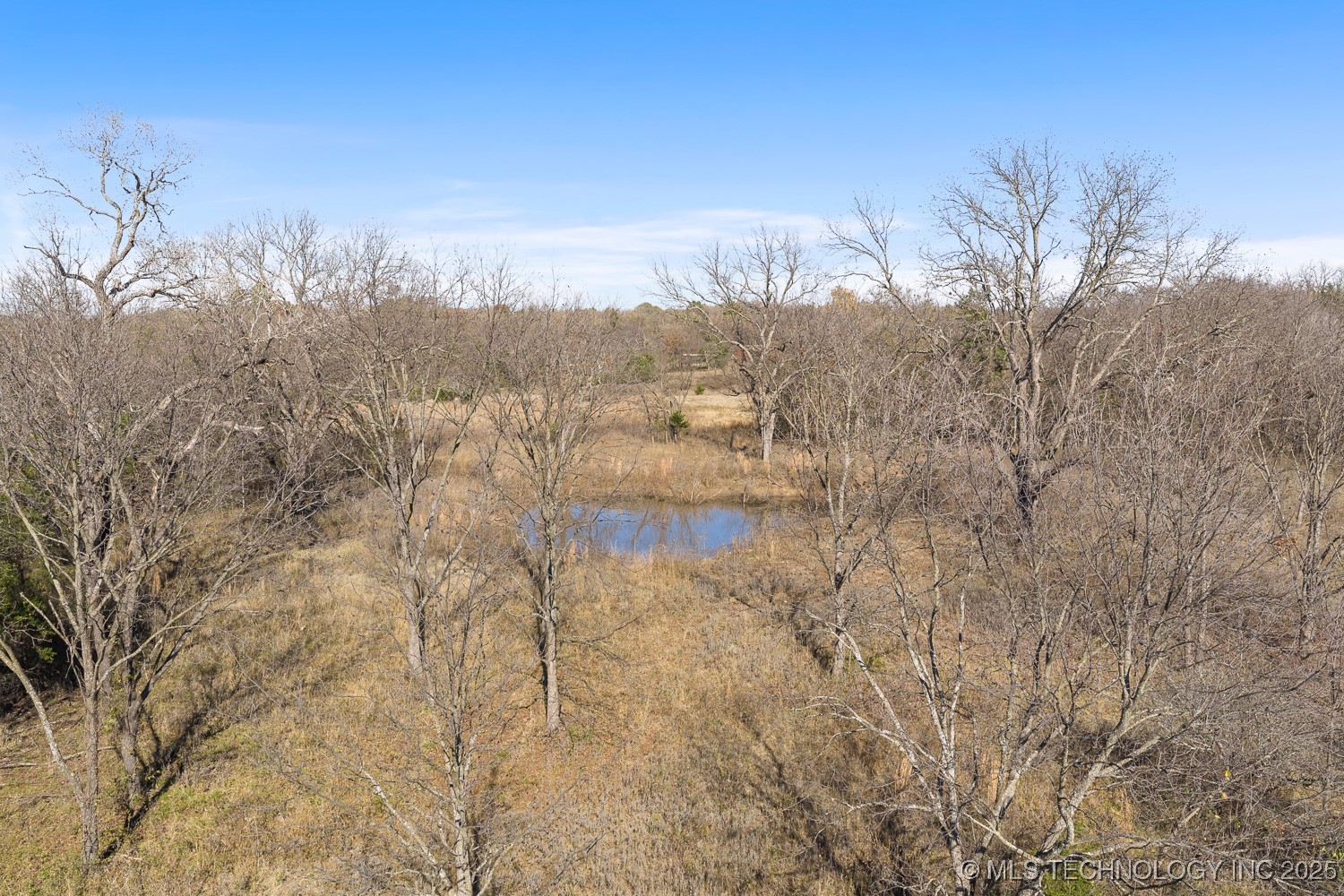 95 Express Road Property Photo 42