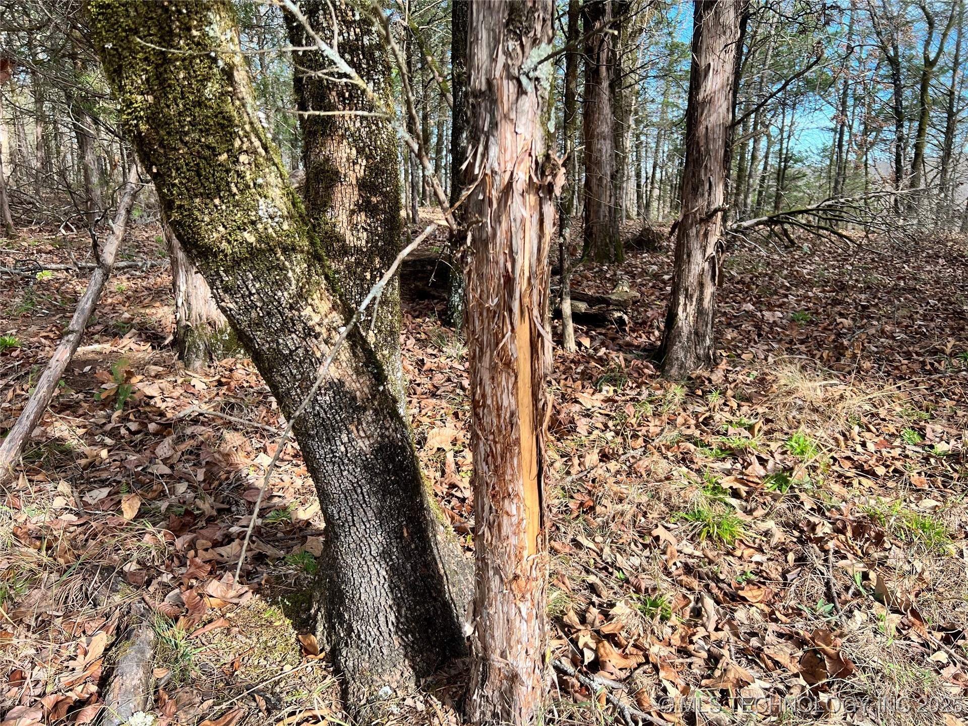 0000 S 4800 Road Property Photo 10