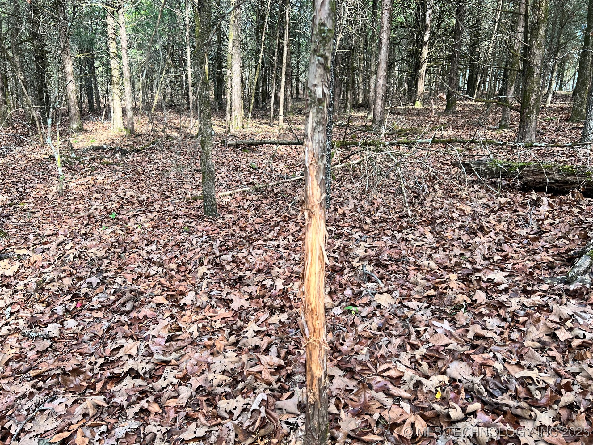 0000 S 4800 Road Property Photo 11