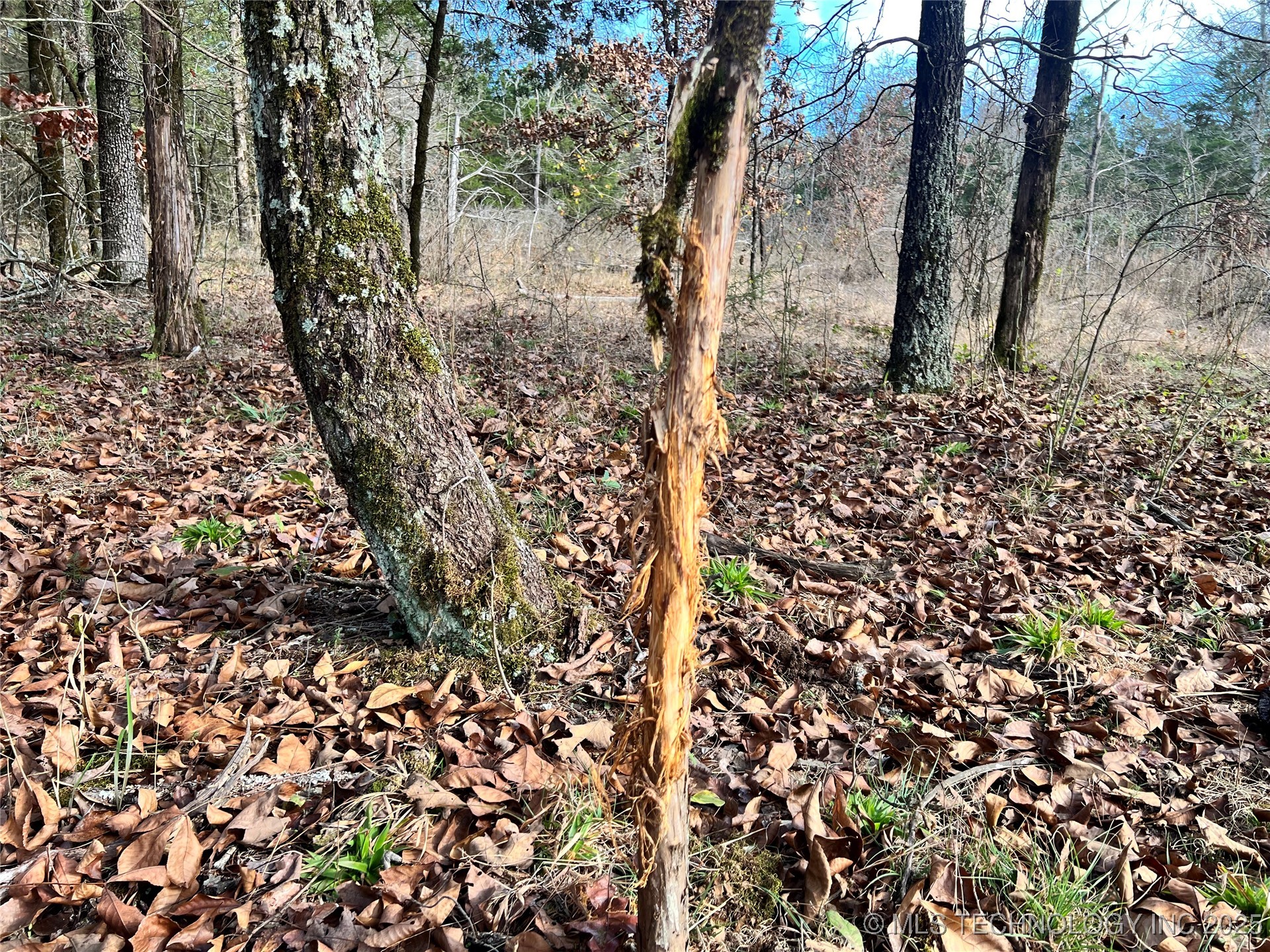 0000 S 4800 Road Property Photo 12