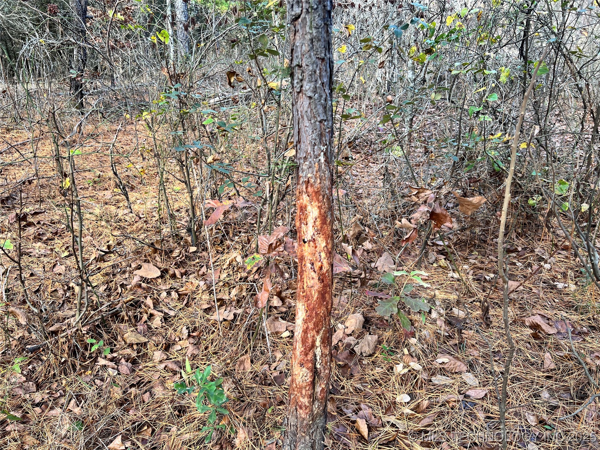 0000 S 4800 Road Property Photo 13