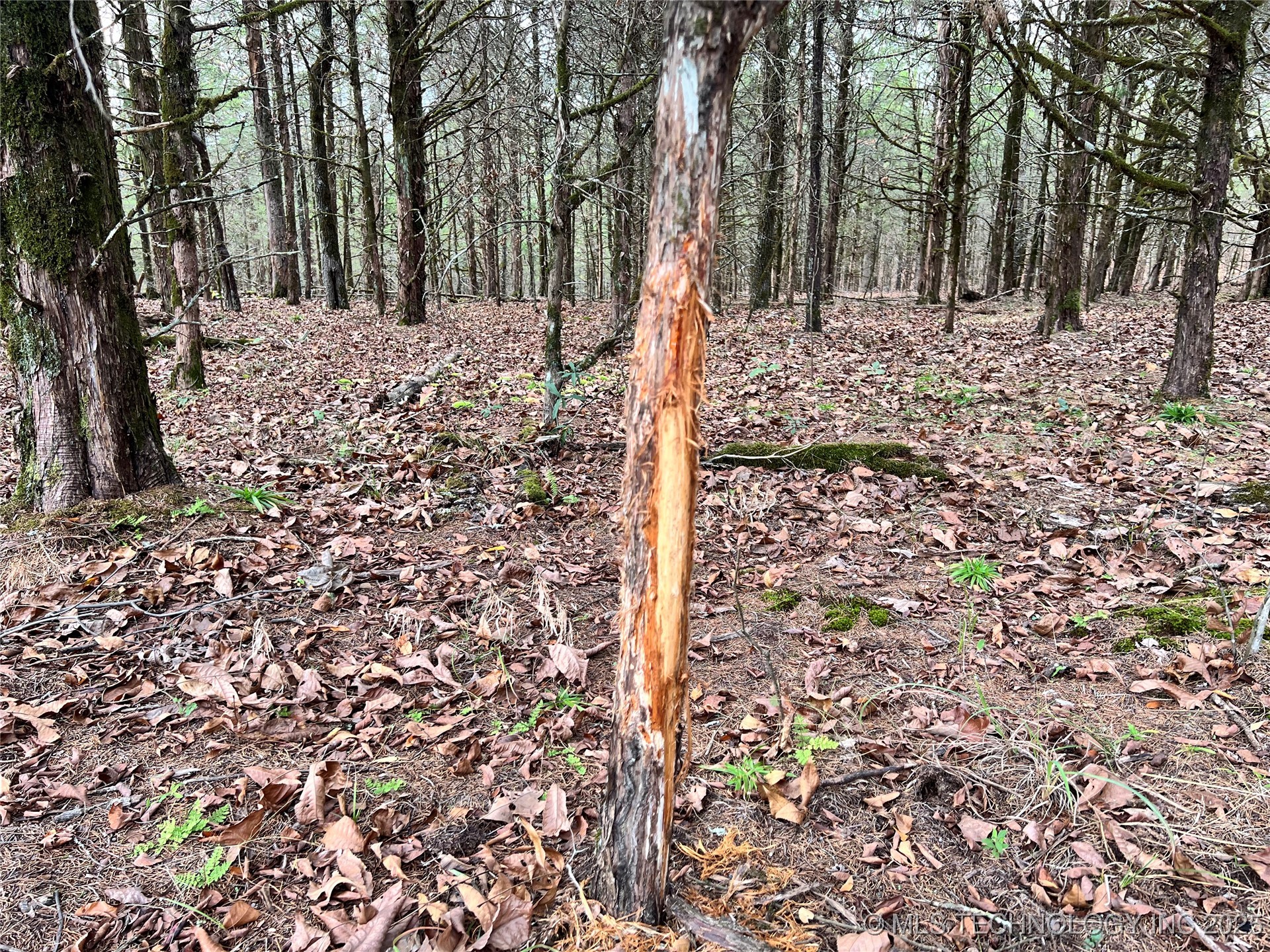 0000 S 4800 Road Property Photo 14