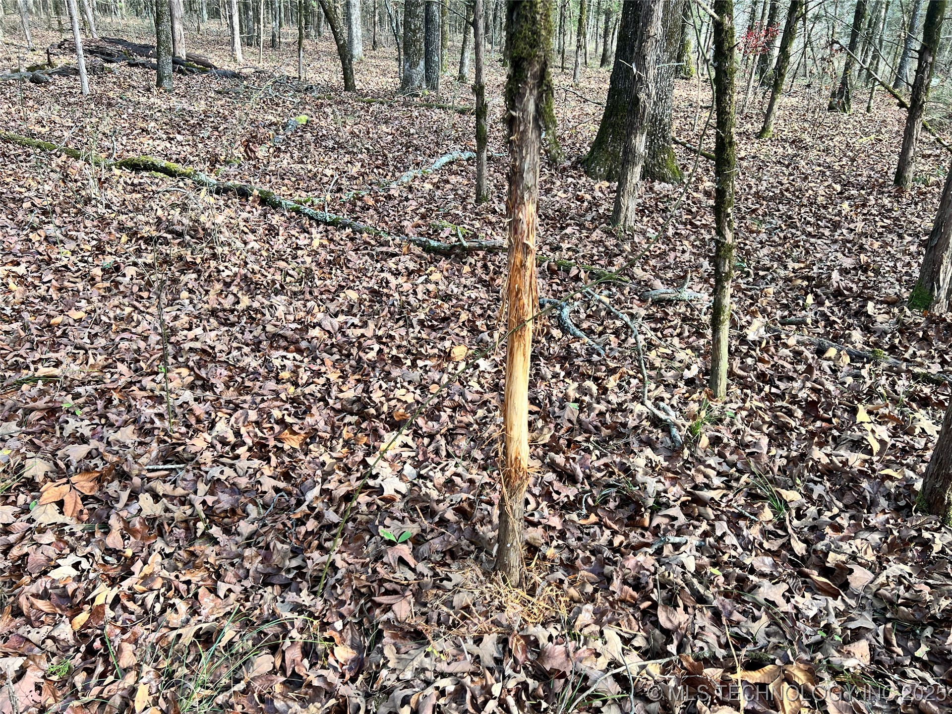 0000 S 4800 Road Property Photo 15