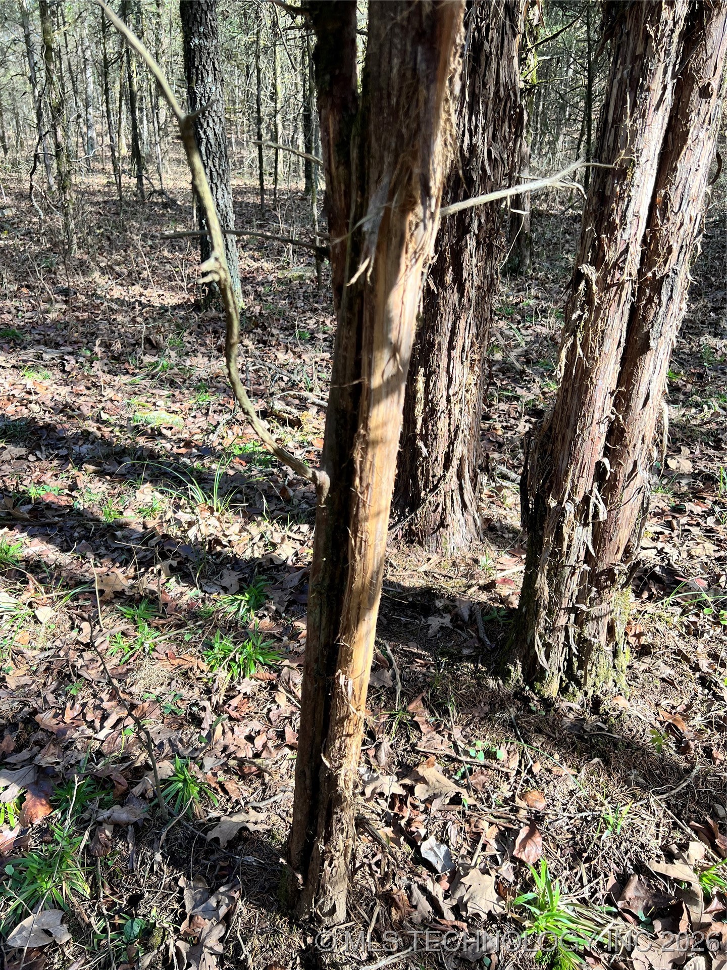 0000 S 4800 Road Property Photo 17