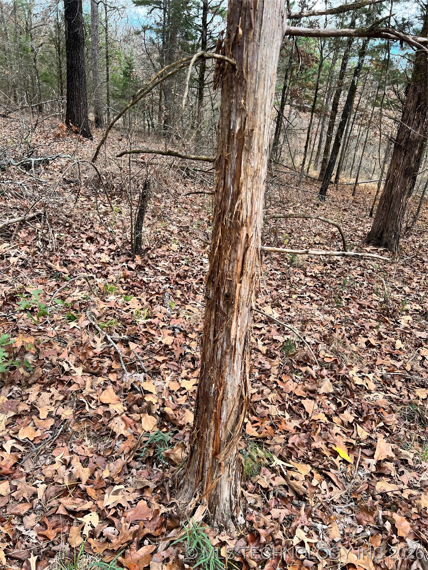 0000 S 4800 Road Property Photo 18